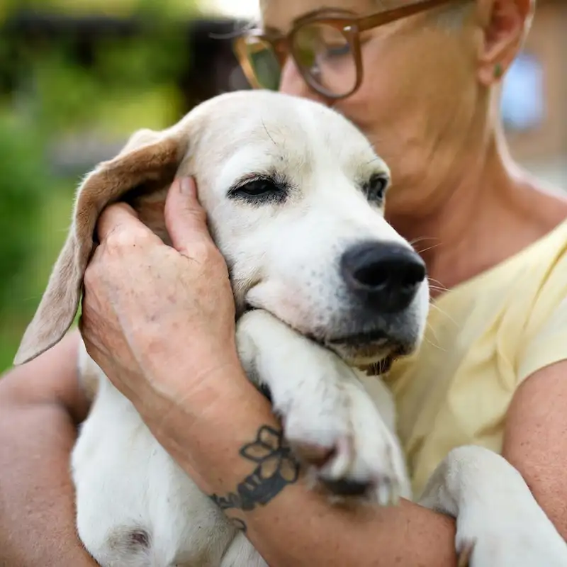 BLOG | For the Love of Dogs