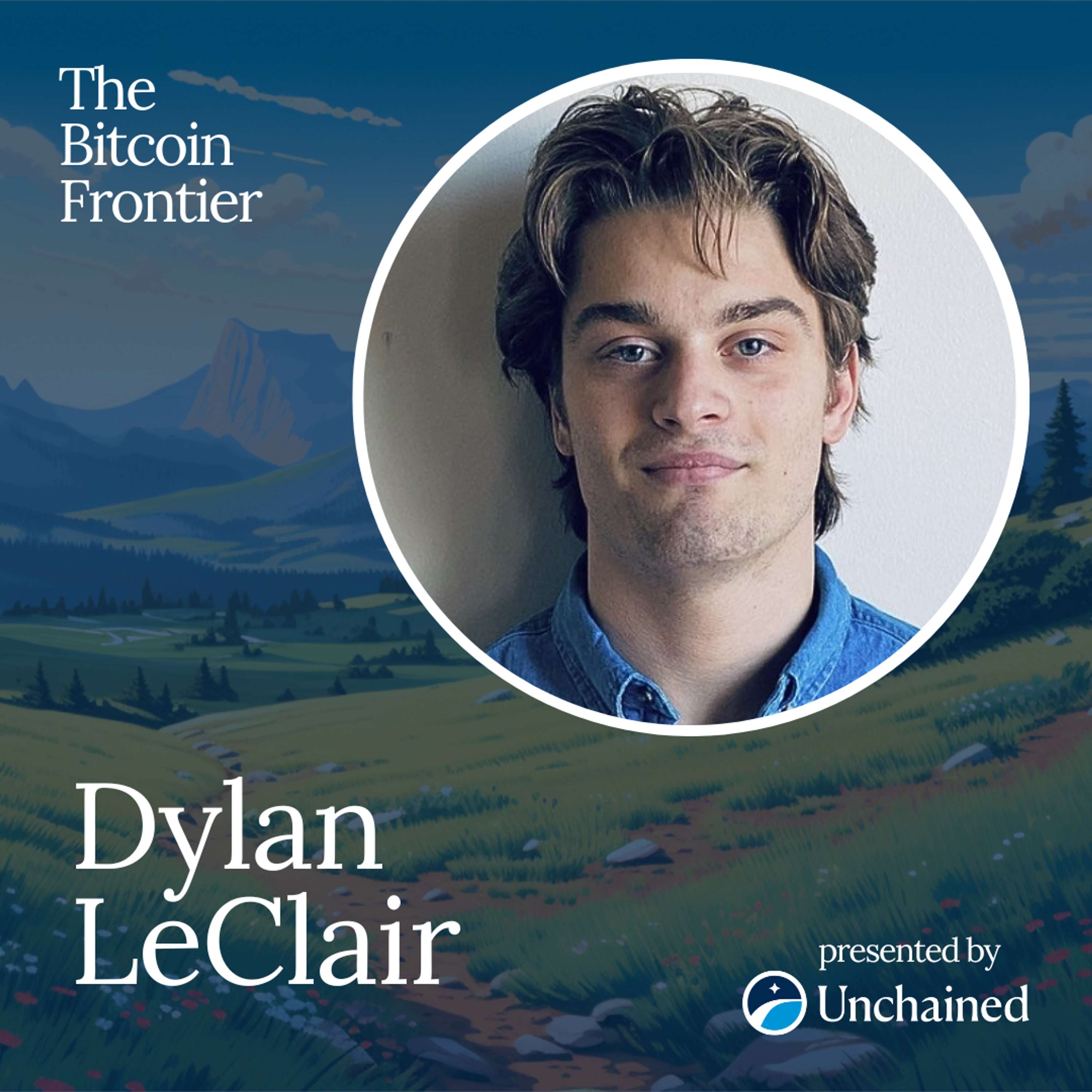 How bitcoin’s volatility is creating a powerful positive feedback loop | Dylan LeClair