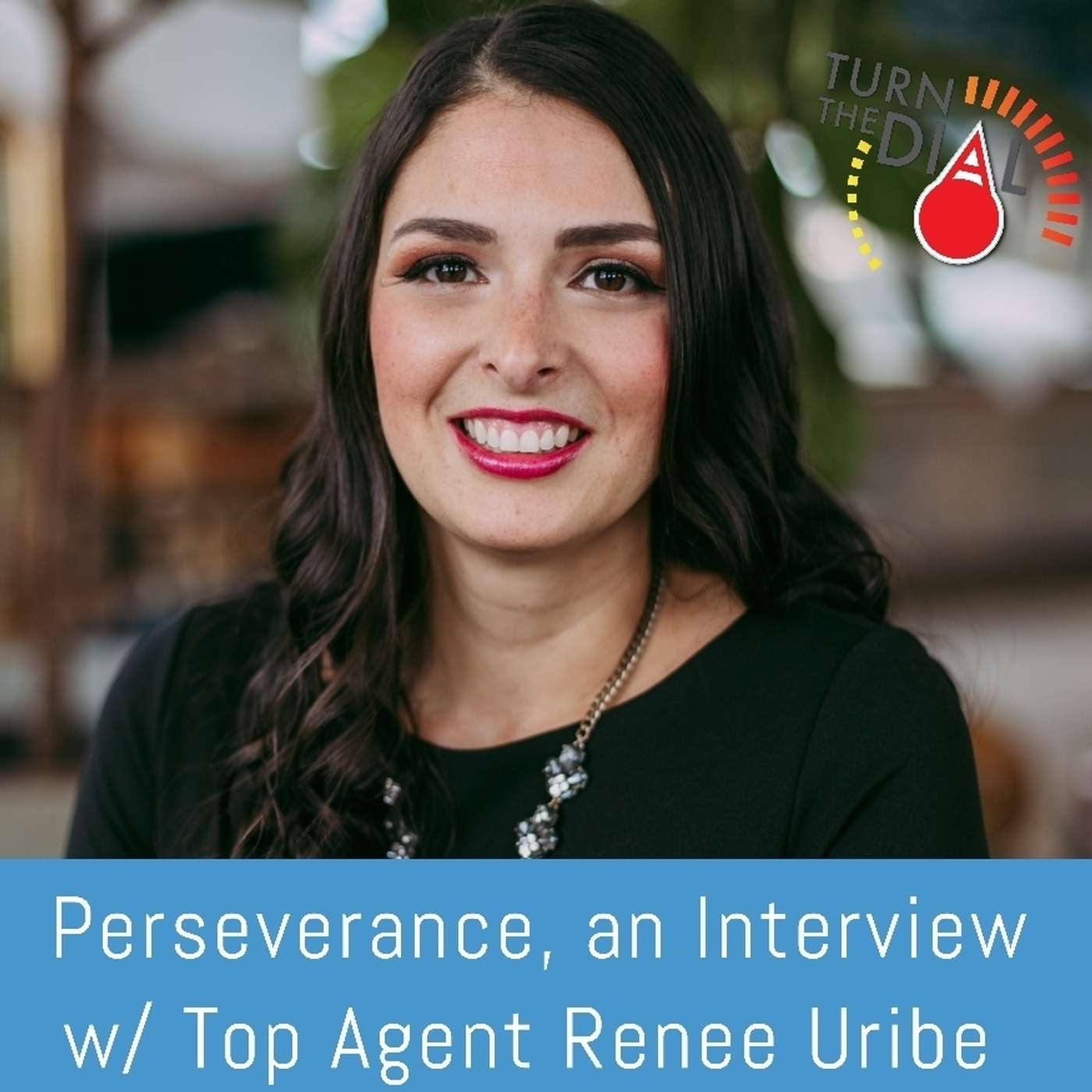 Turn the Dial - Real Estate Agent Podcast