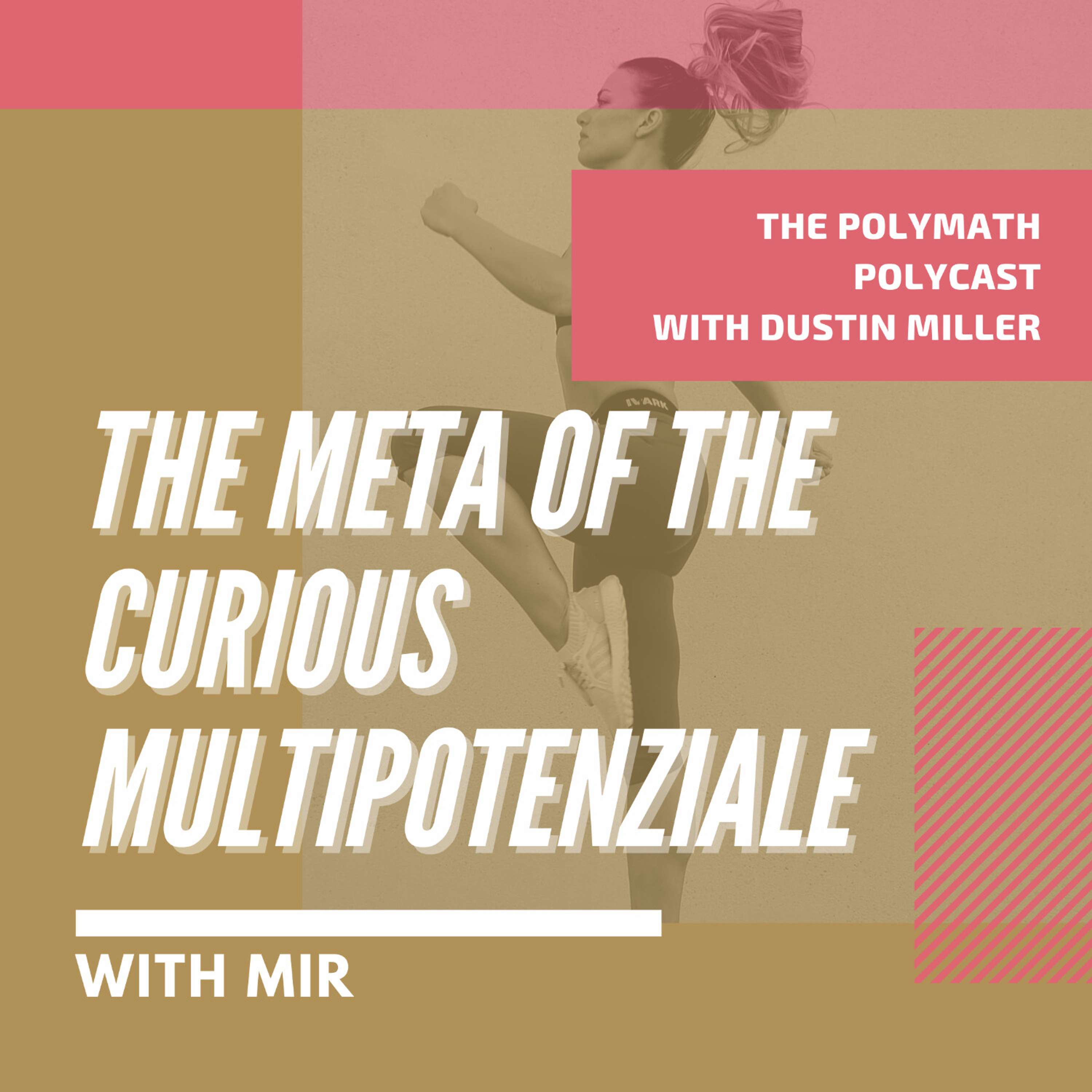 The Meta of the Curious Multipotenziale with MIR [Interview]