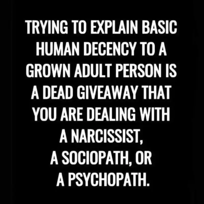 One Dusty Android 10, a Psychopath Narcissist, His Flying Monkeys, and the Cosmic Joke  