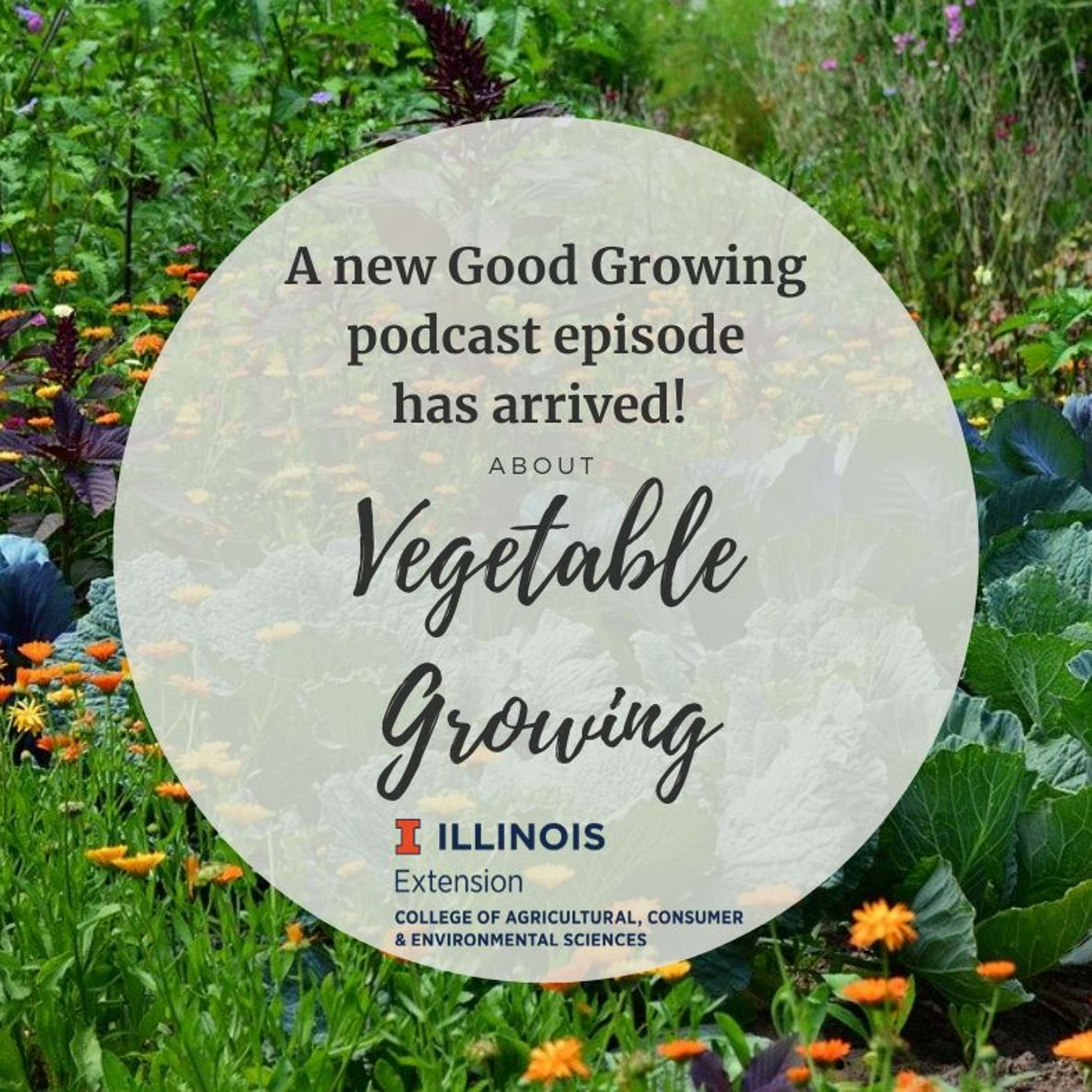 Ep. 27 Unique veggies and fall gardening with Grant McCarty