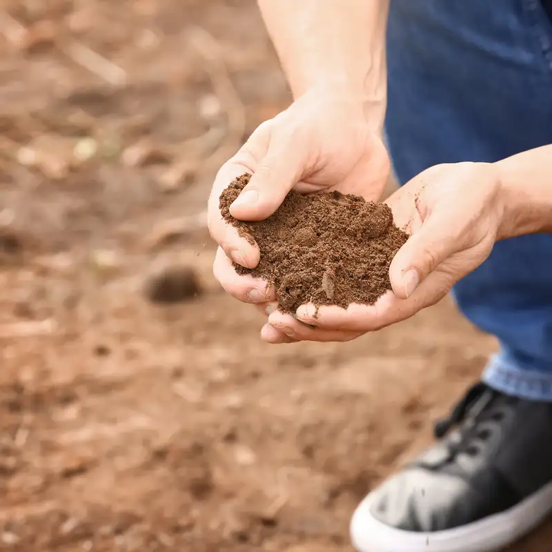 Soil and Tissue Testing
