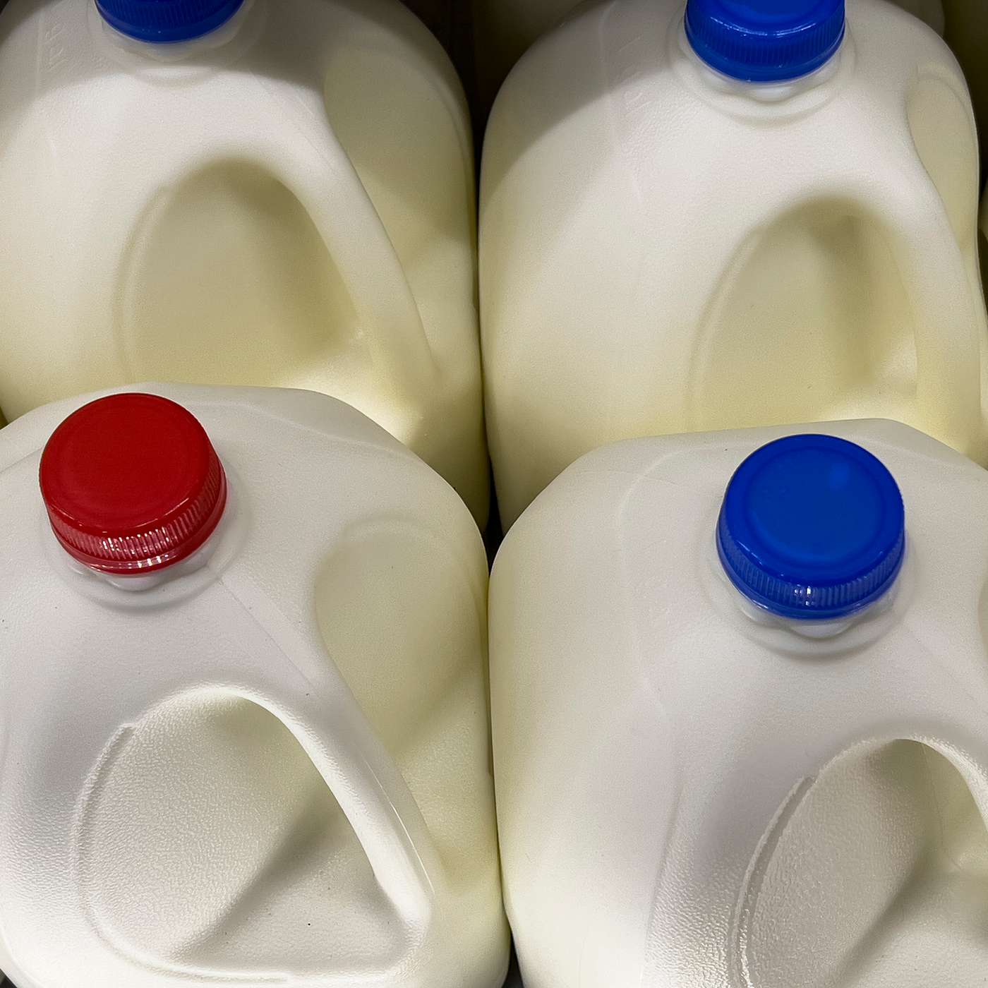 Hot Topics—Prior Authorization Shakeup, Gig Worker Health, Heat Wave Dangers & Whole Milk Wins