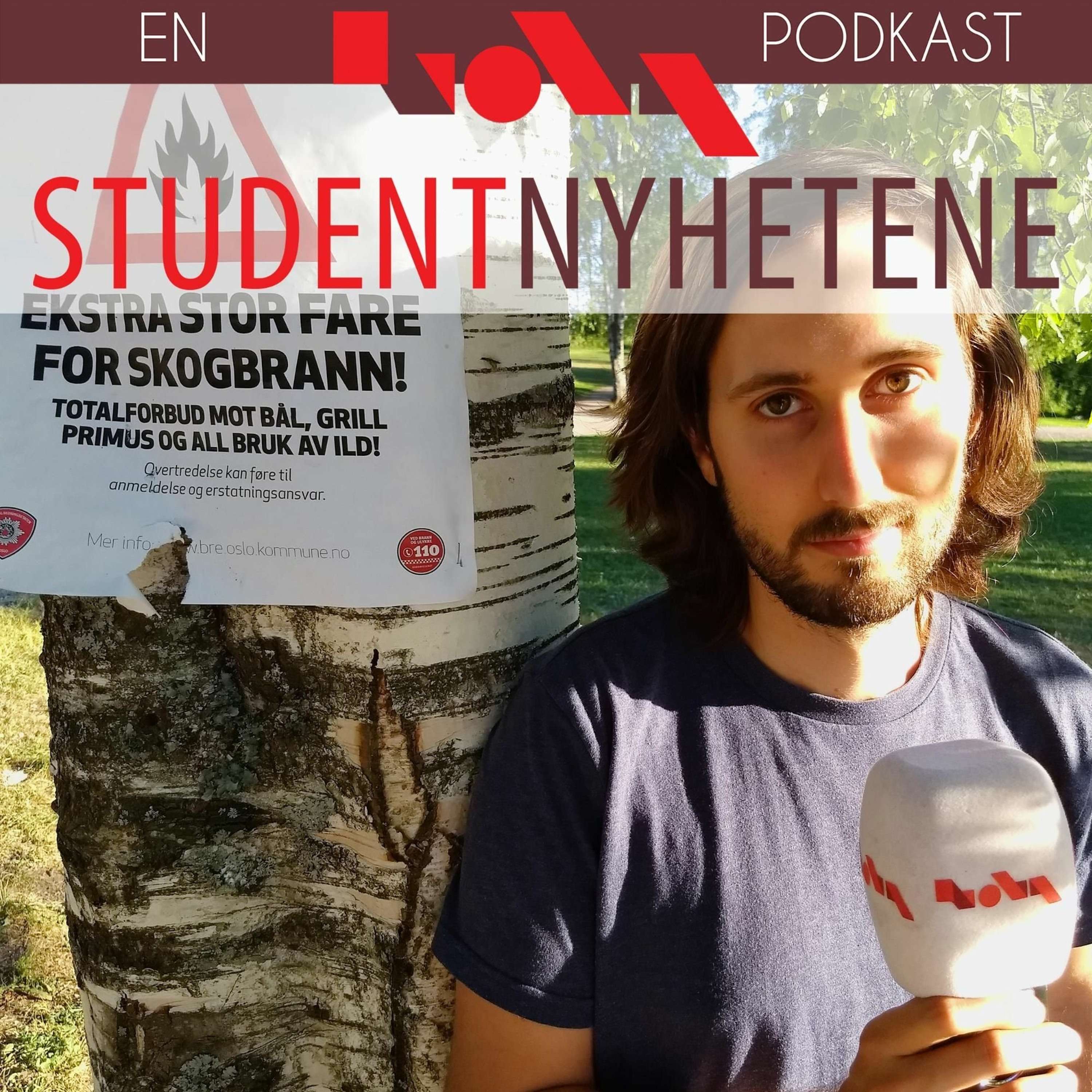 Studentnyhetene