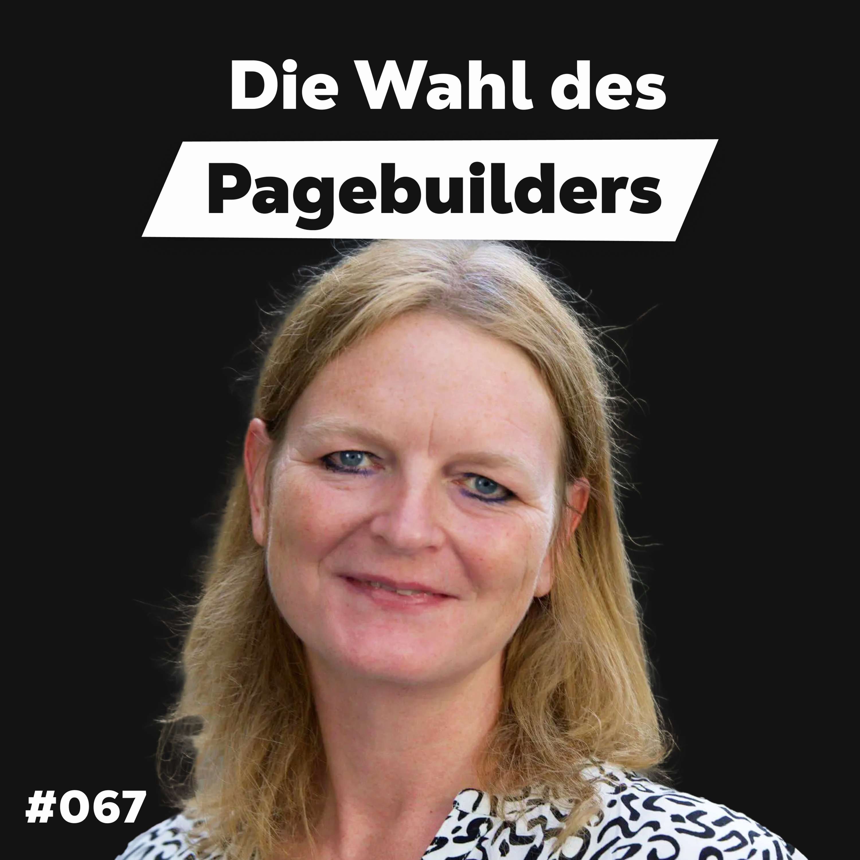 Die Dominik Liss Show (WordPress & Business Talks)