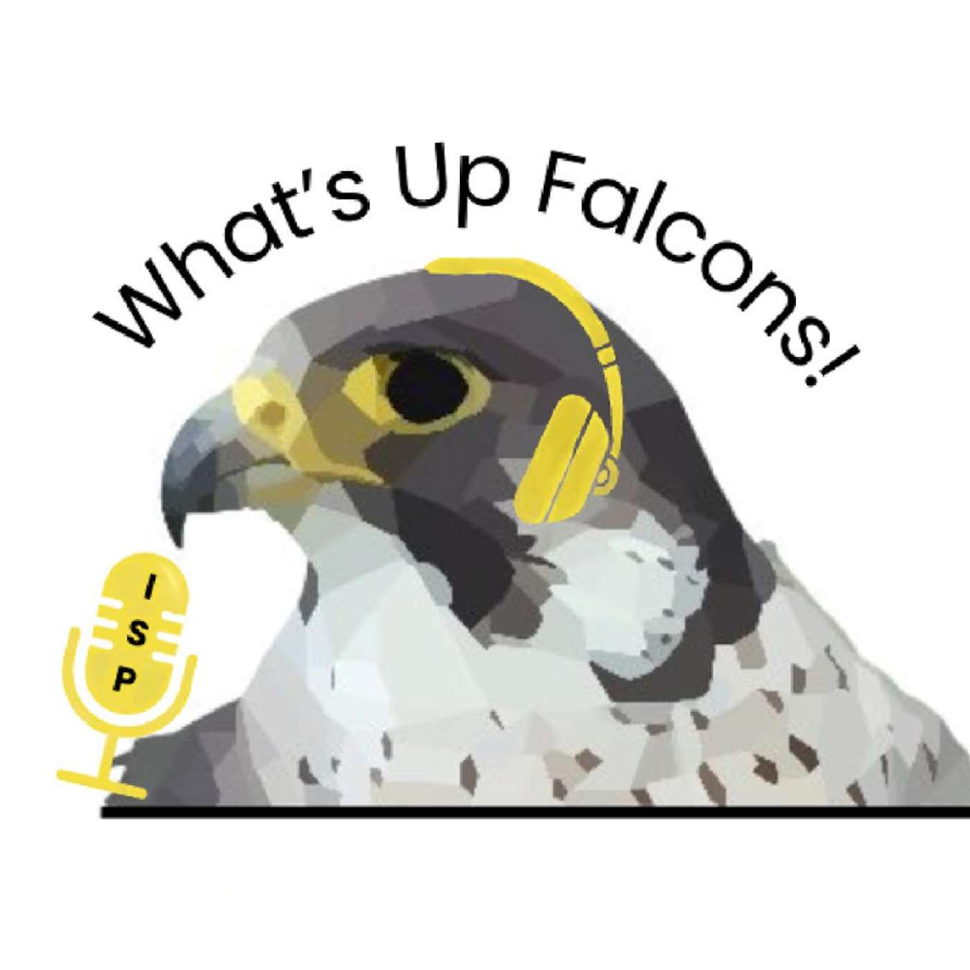 What's Up Falcons