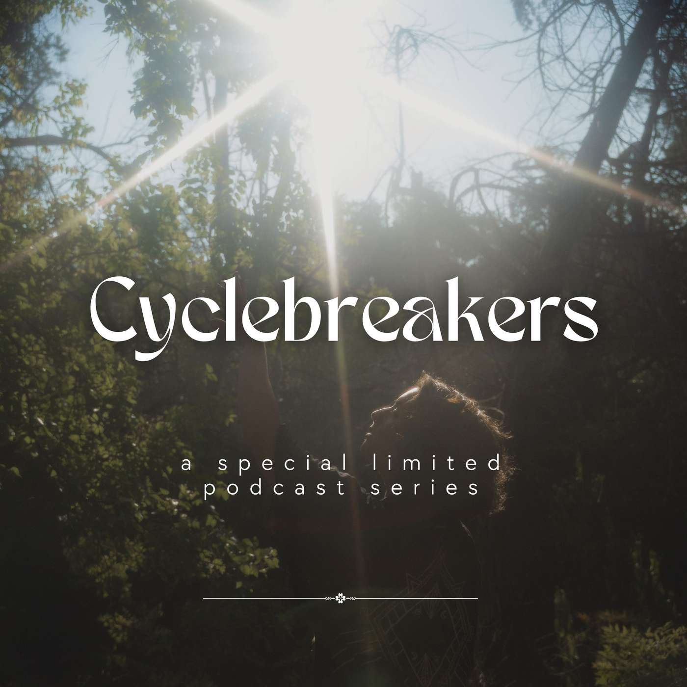 Cyclebreakers
