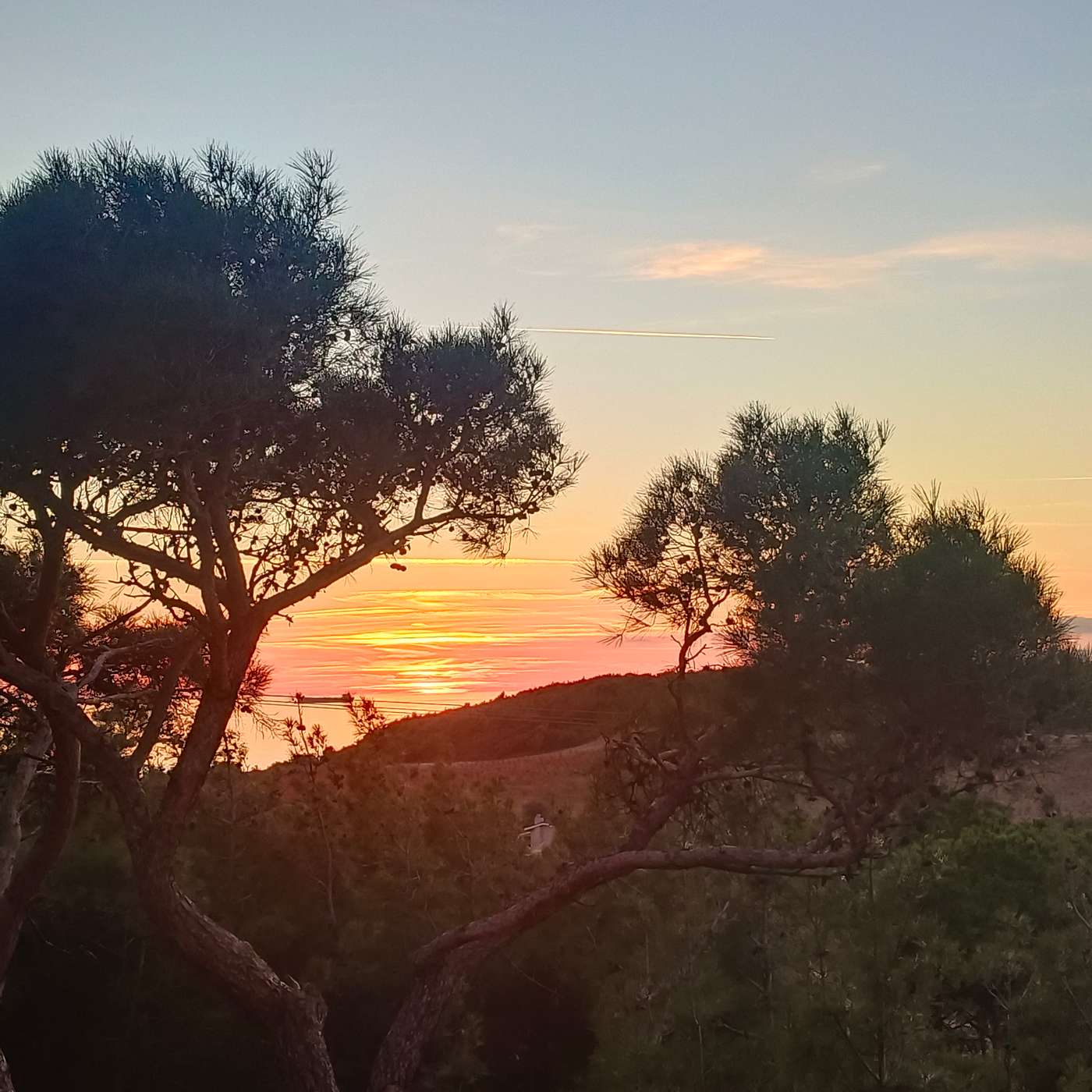 Sizin gününüz nasıl geçti?