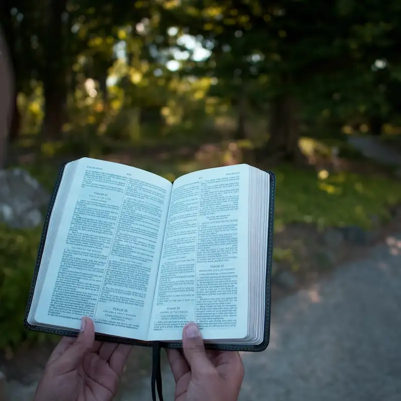 BLOG | Finding the Voice of God
