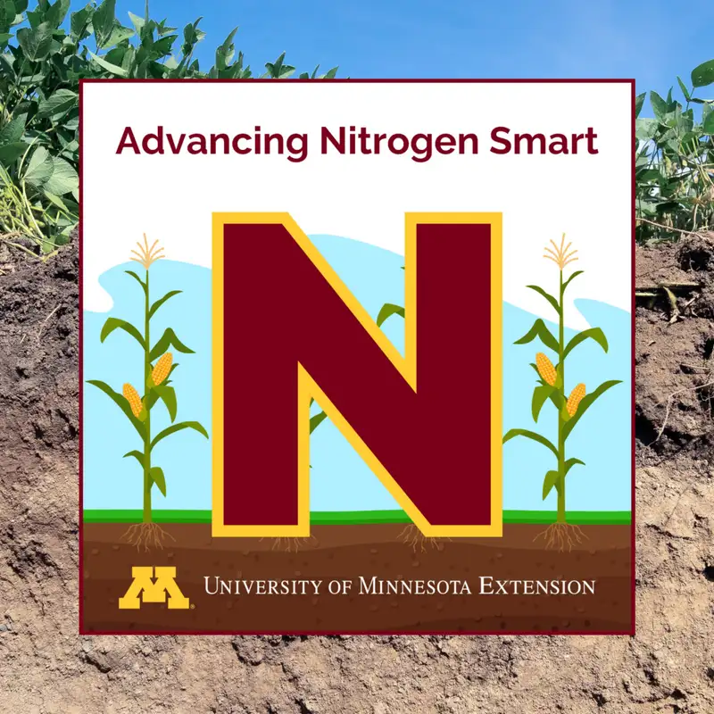 Nitrogen pools: Our experts talk timing, testing and uptake