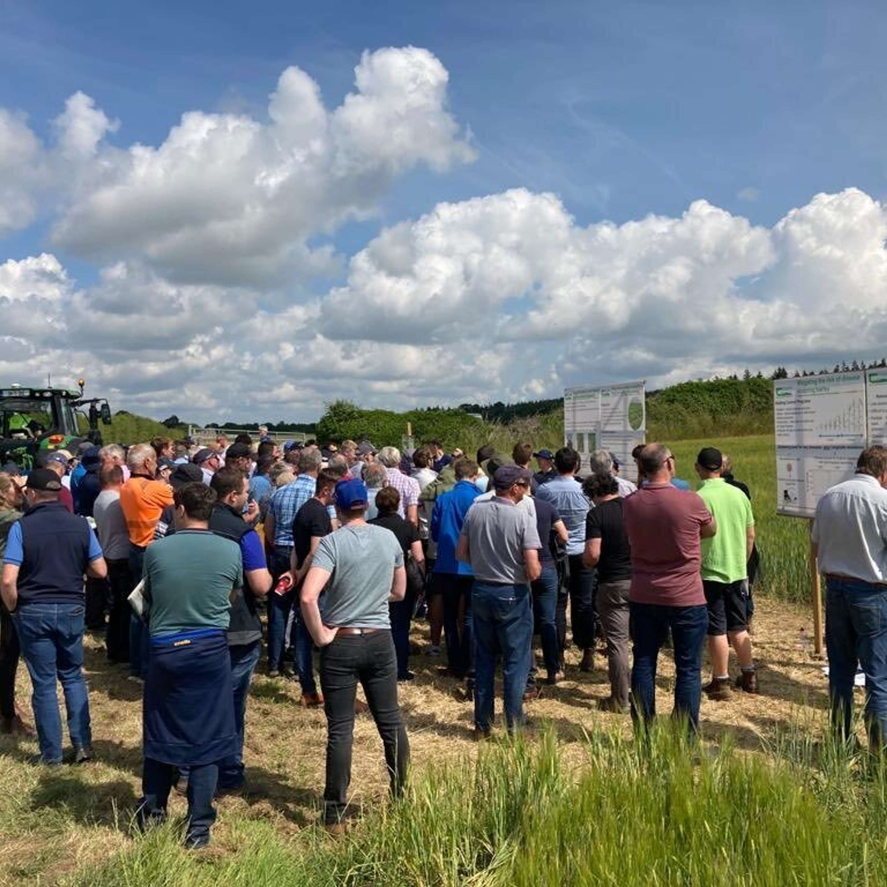 The Tillage Edge
