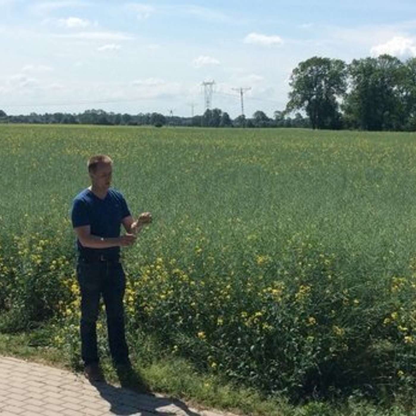 The Tillage Edge