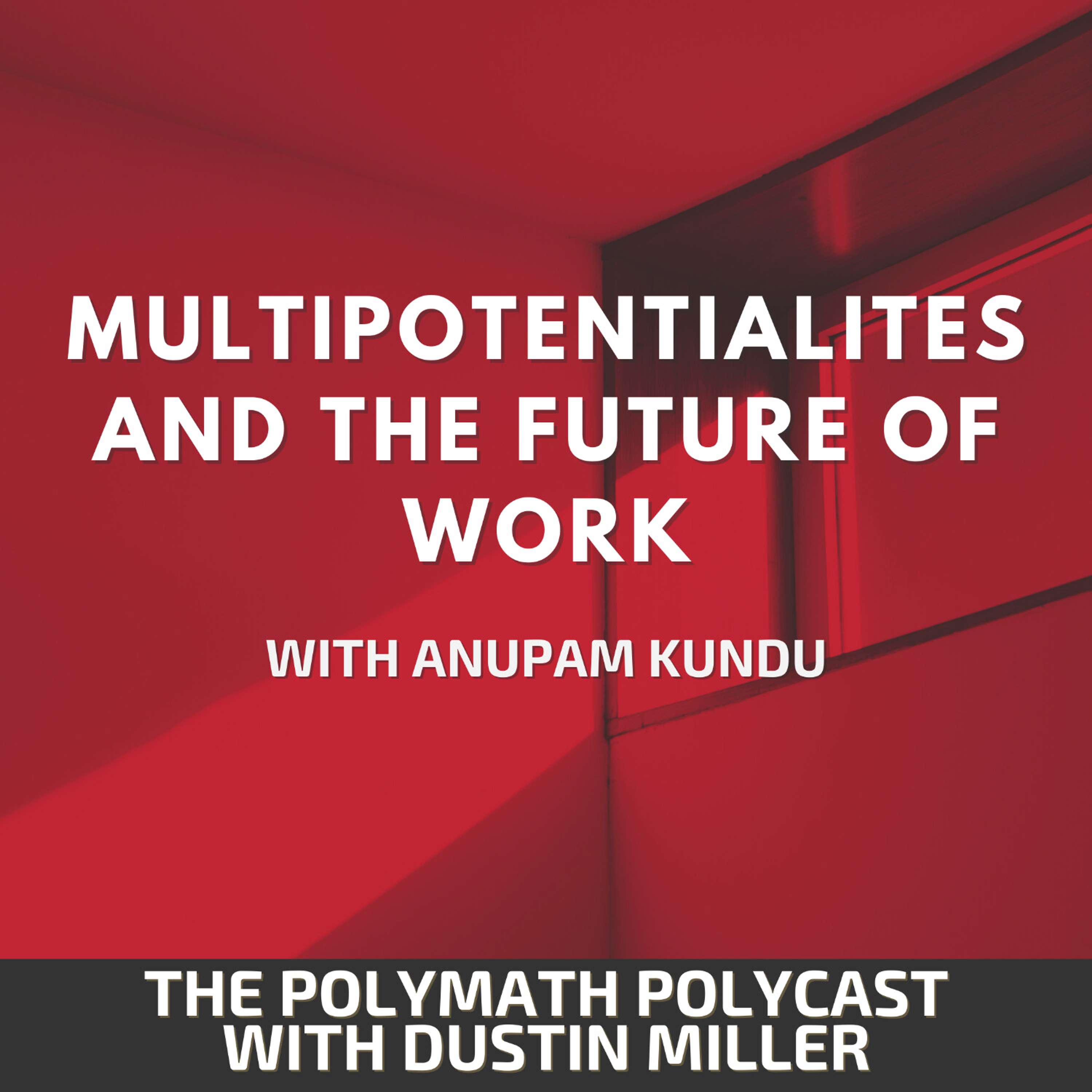 Multipotentialites and the Future of Work with Anupam Kundu [Interview]