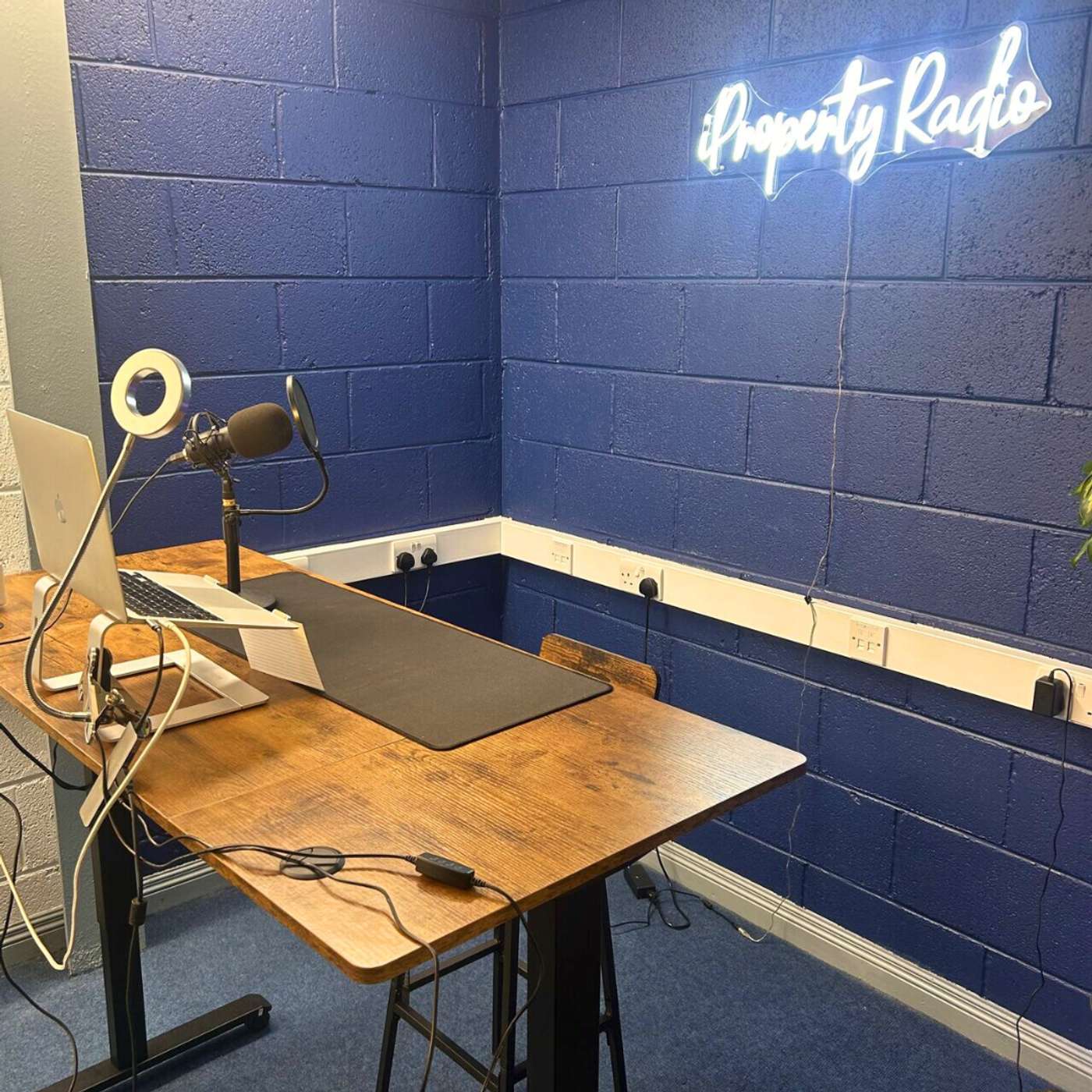 Camille Donegan, Eirmersive Camille Donegan, Eirmersive