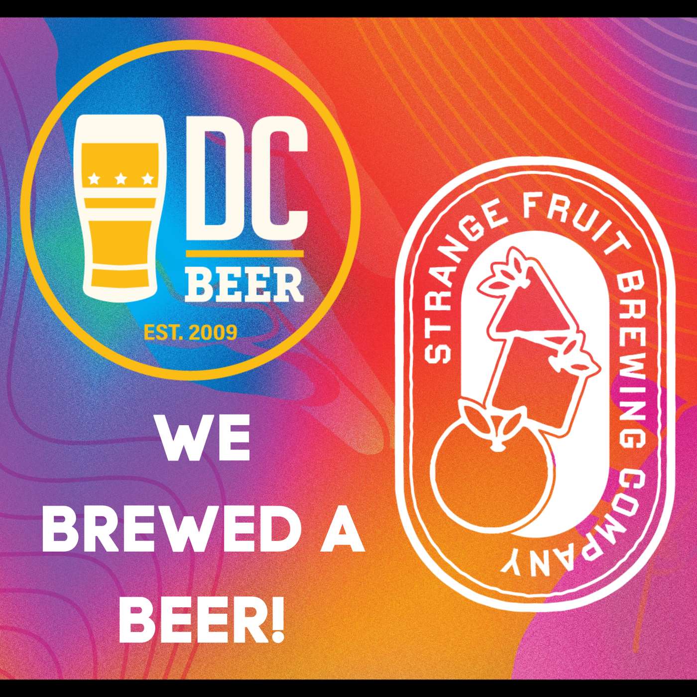 The DC Beer Show