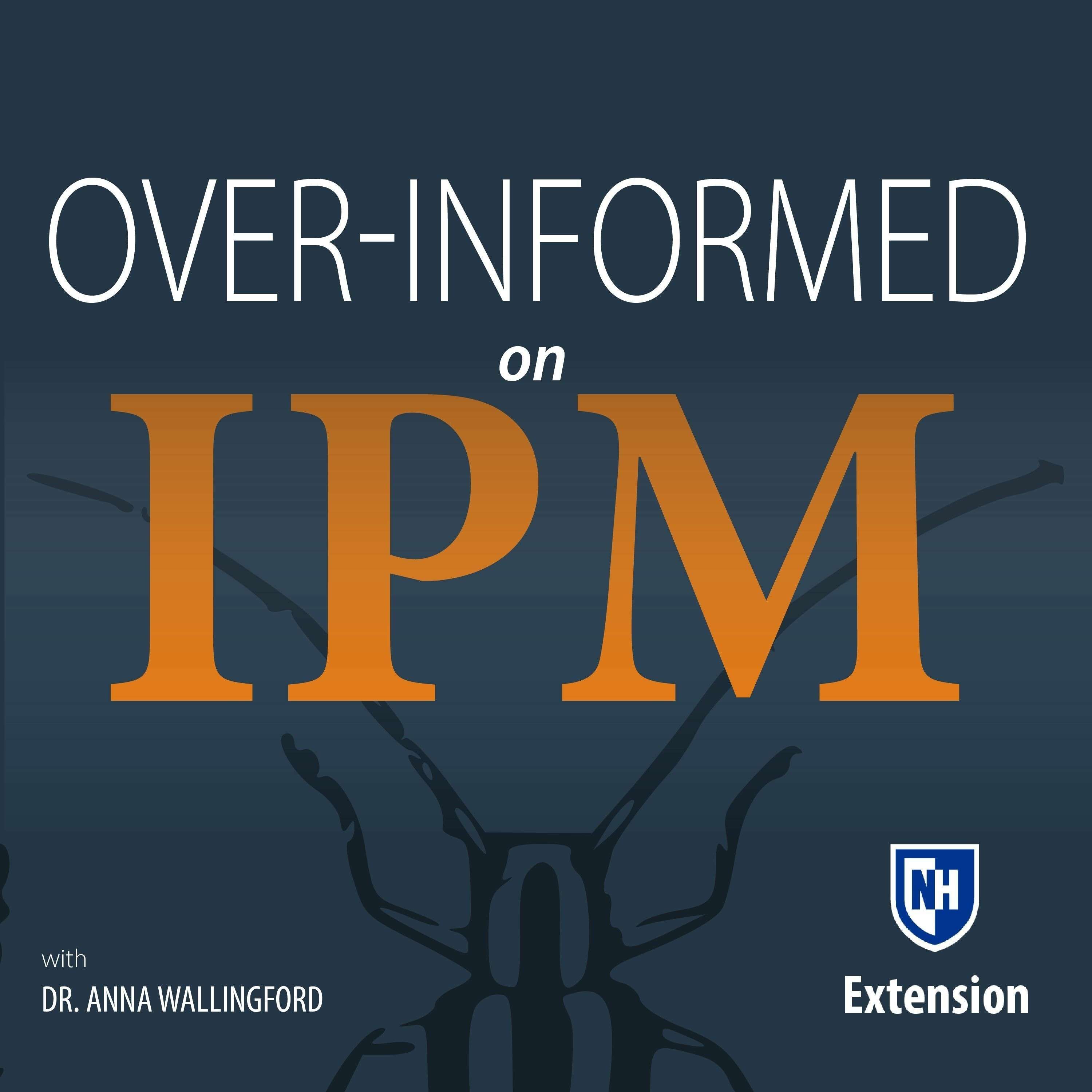 Over-Informed on IPM