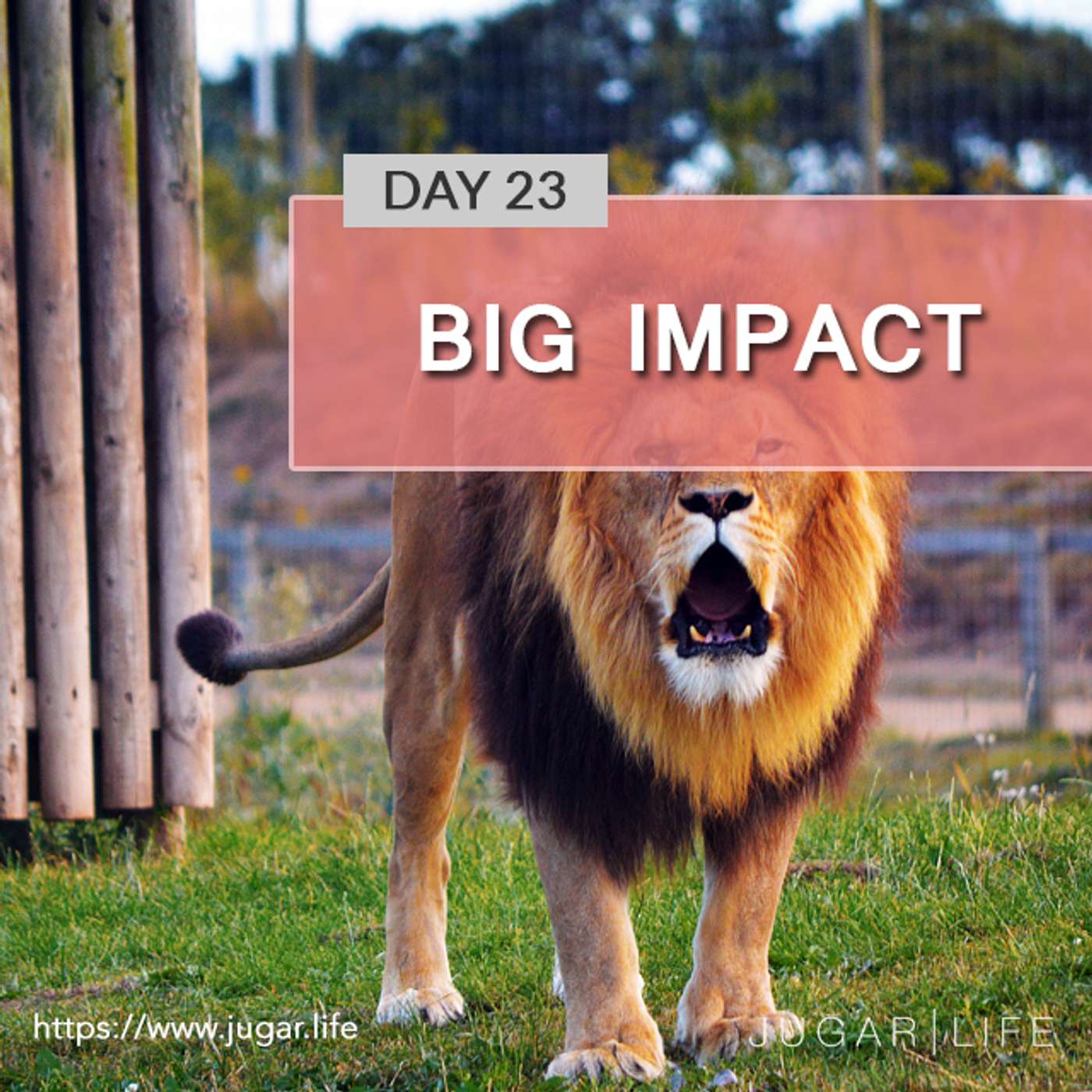 Day Twenty-Three | Big Impact