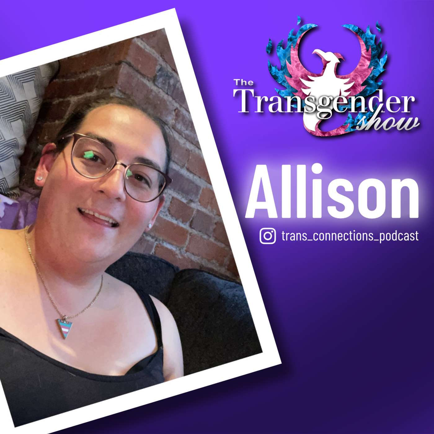 The Transgender Show