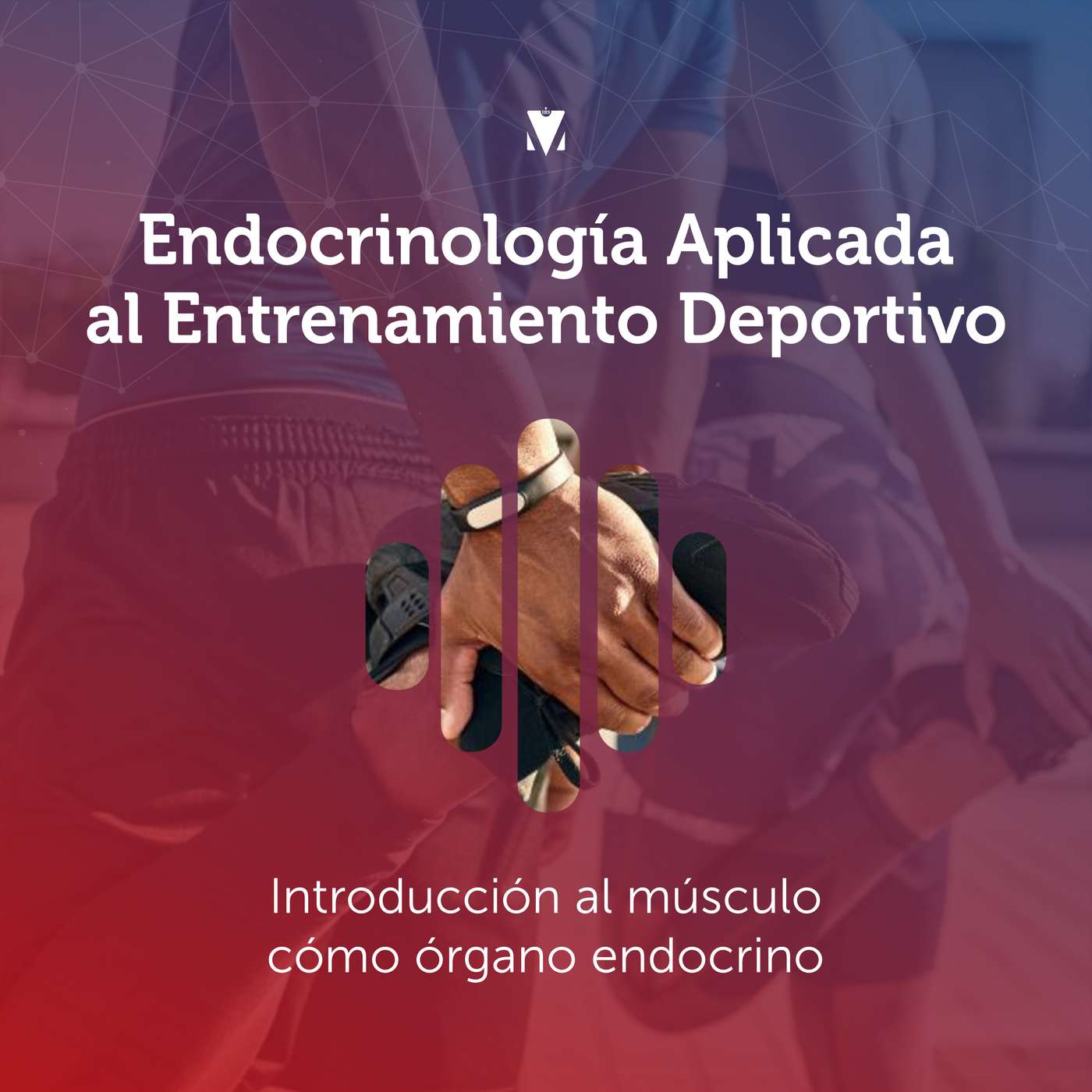13 - ENDOCRINOLOGÍA APLICADA AL ENTRENAMIENTO DEPORTIVO: Introducción al músculo como órgano endocrino