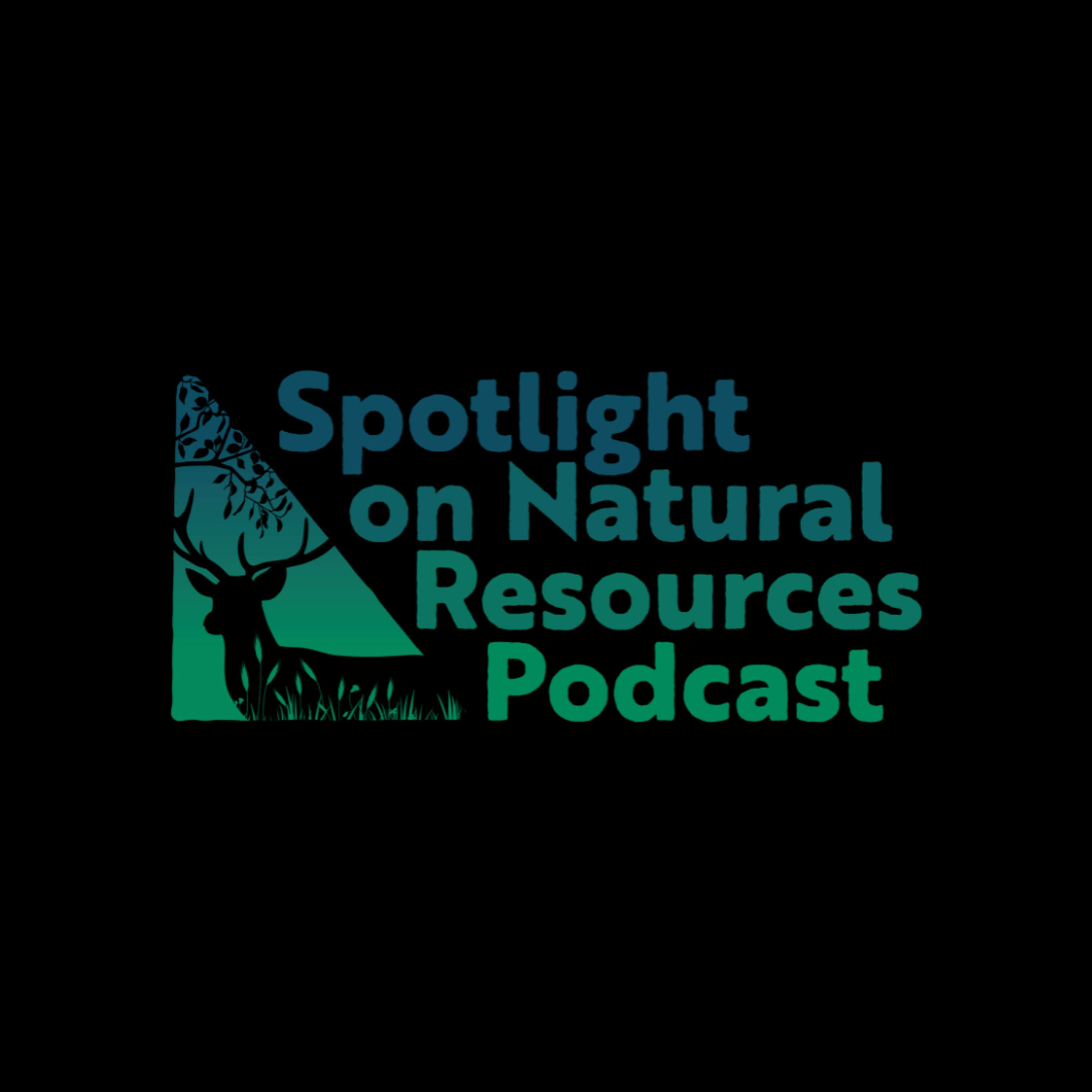 Everyday Environment Podcast