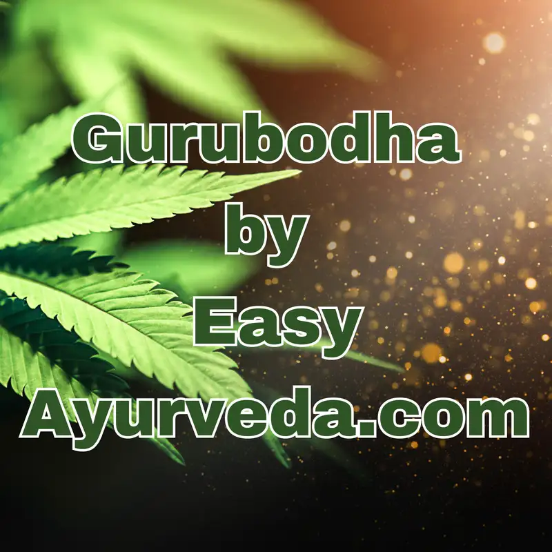 GURUBODHA 71: Introduction To Medical Marijuana– Its Types, Purification and Benefits