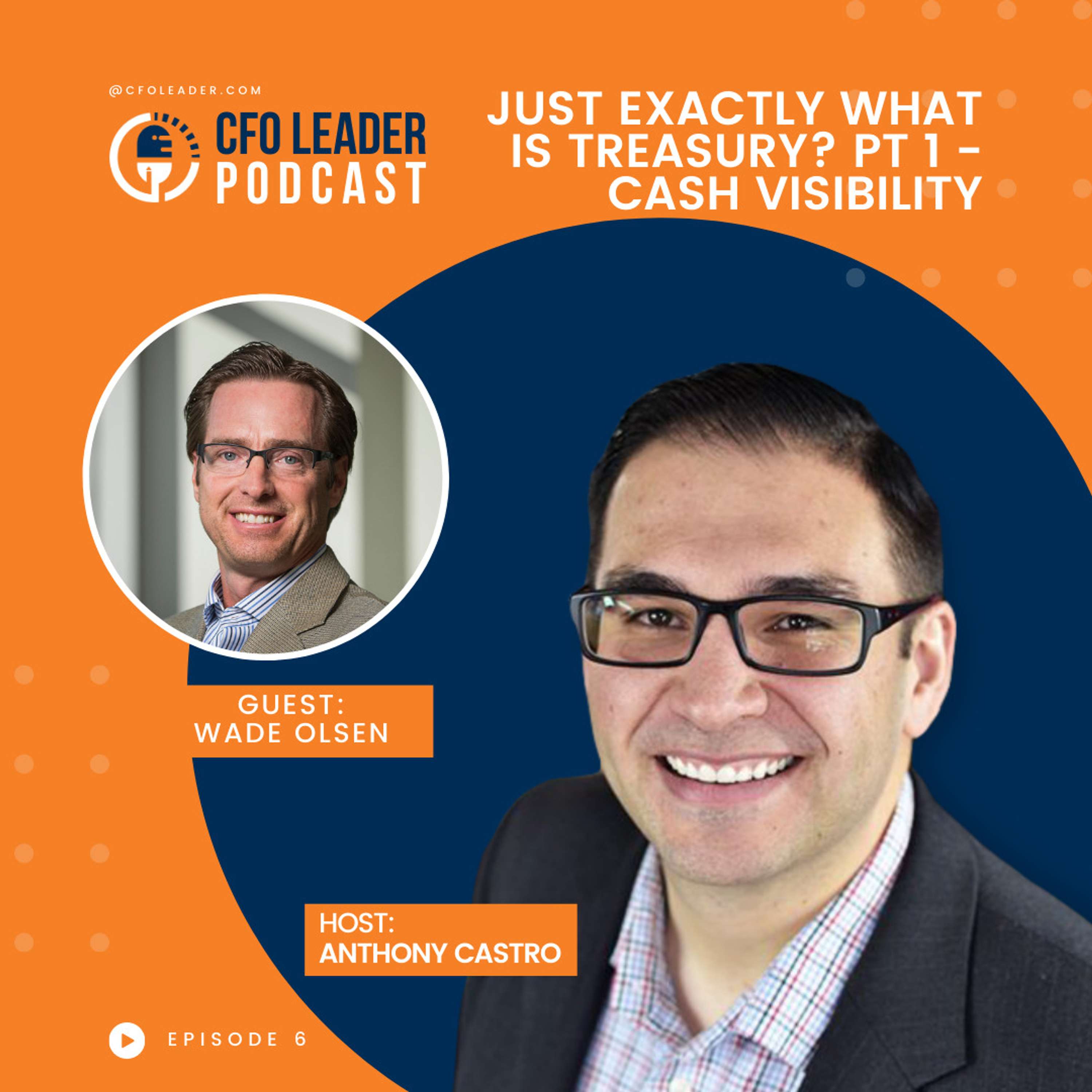 Wade Olsen - Just exactly what IS treasury?  Pt. 1 - Cash Visibility