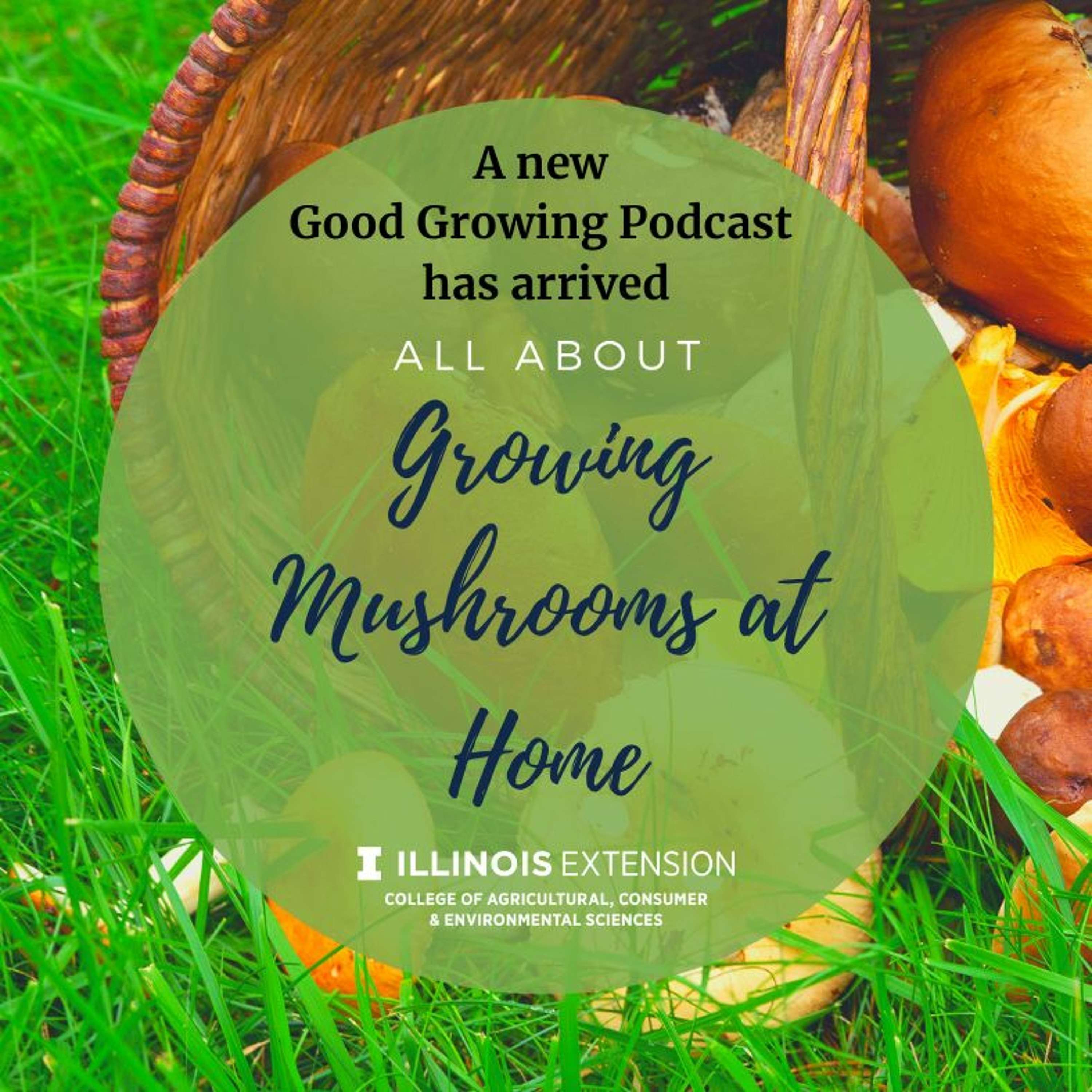 Ep. 14 Growing Mushrooms with Michelle Berg Vogel & Your Gardening Questions