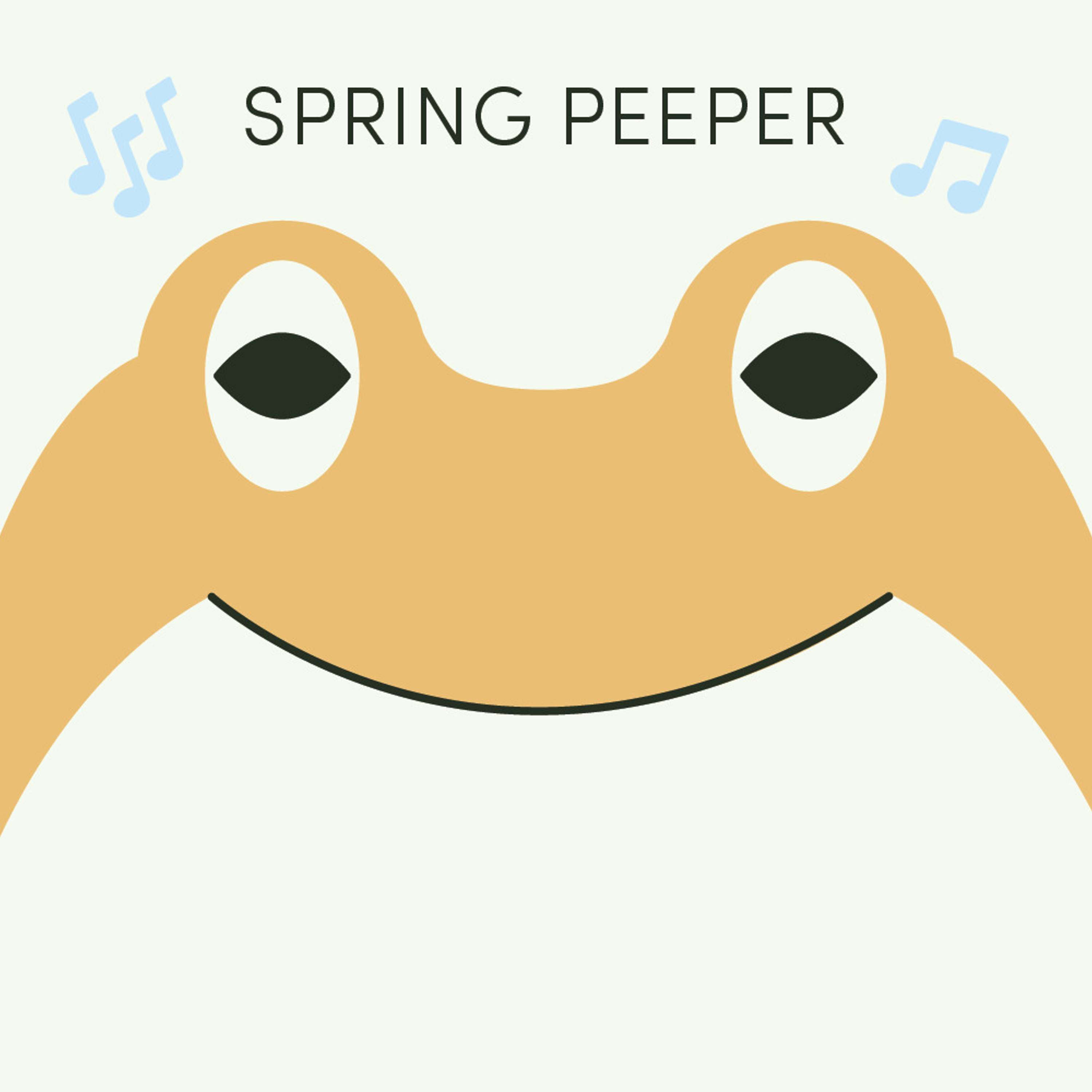 Spring Peeper | Week of February 21st