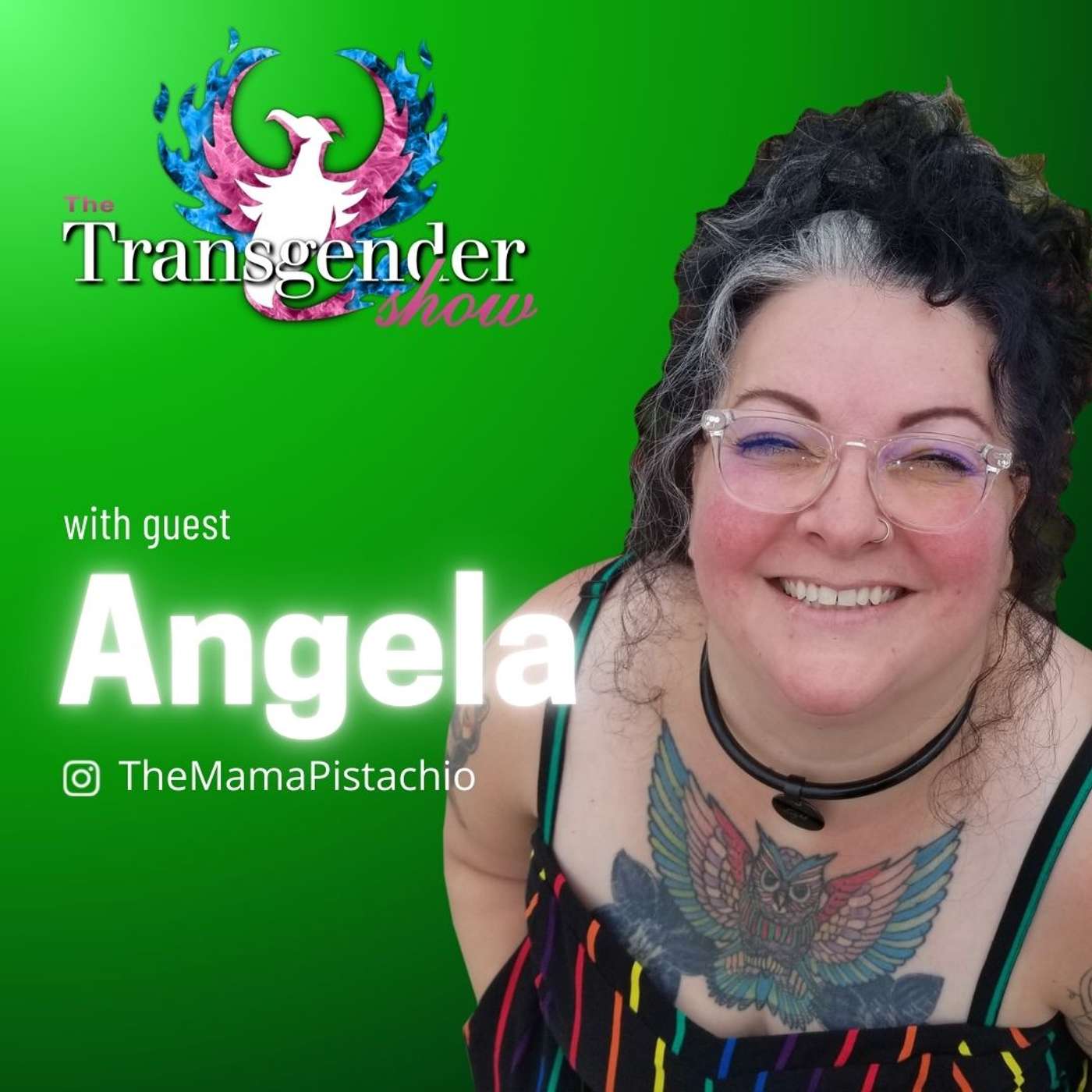 The Transgender Show