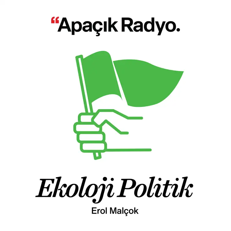 Ekoloji Politik 