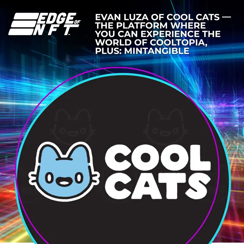 Evan Luza Of Cool Cats — The Platform Where You Can Experience The World Of Cooltopia, Plus: MINtangible