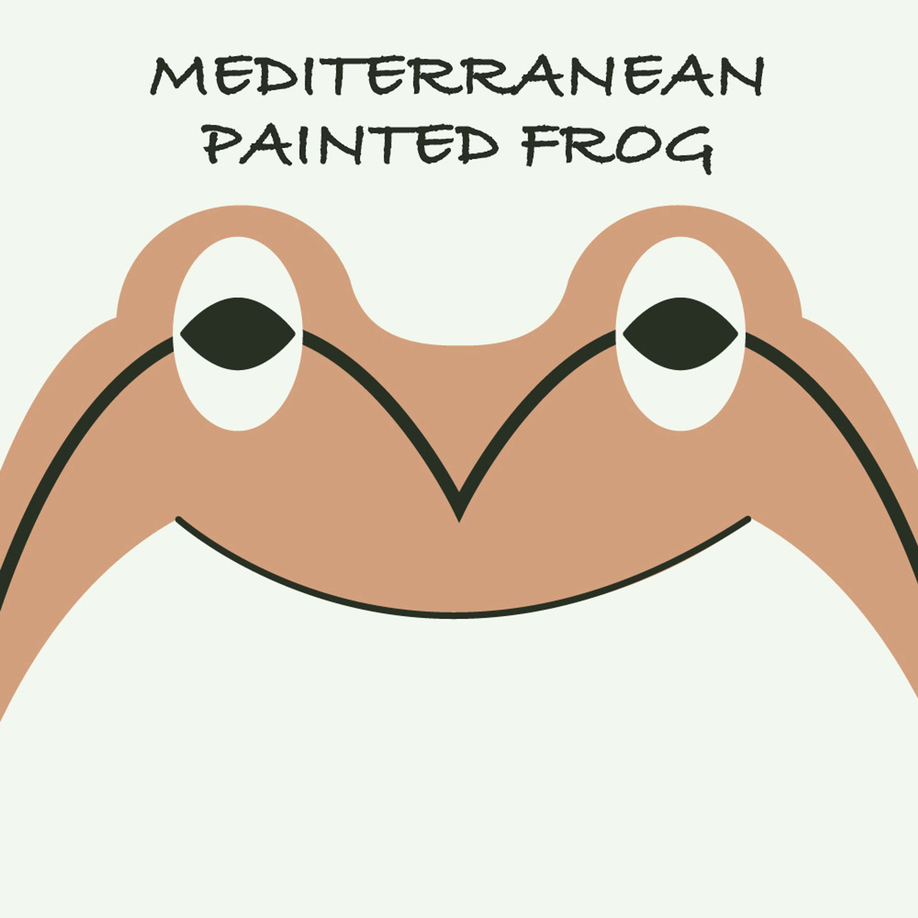 Mediterranean Painted Frog | Week of February 19th