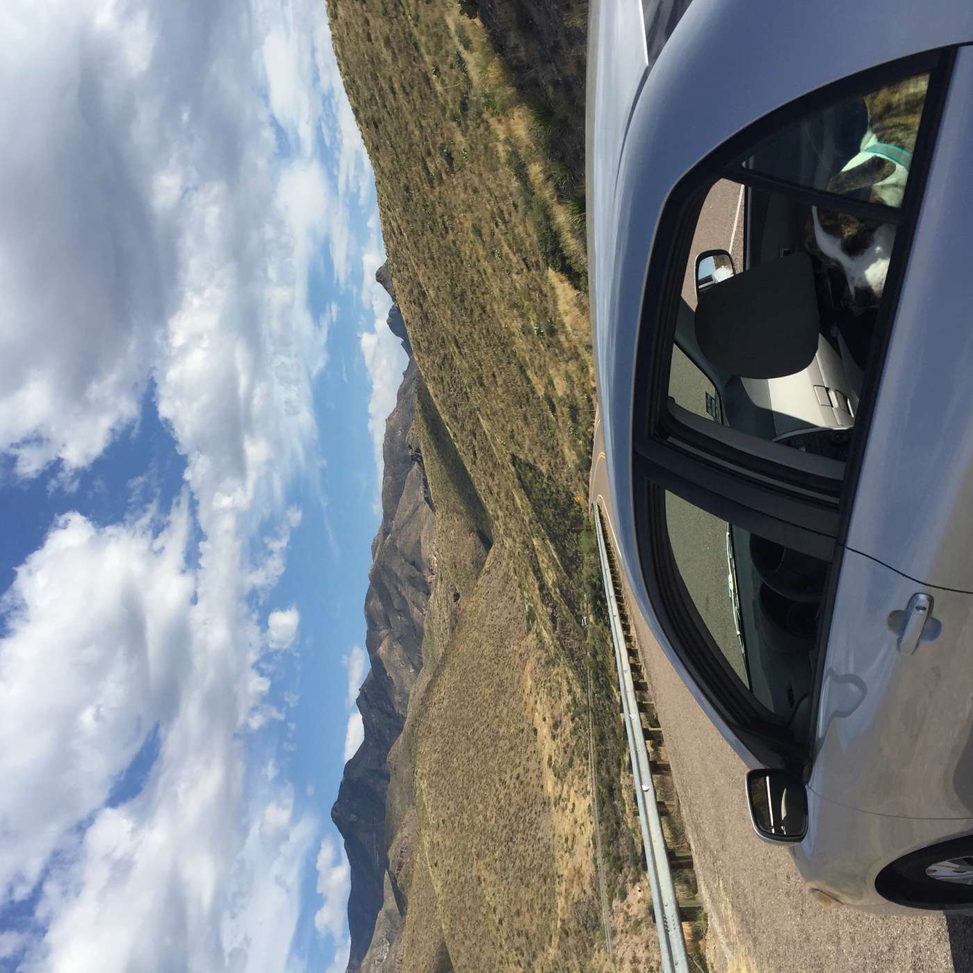 Let's Go On A Road Trip!