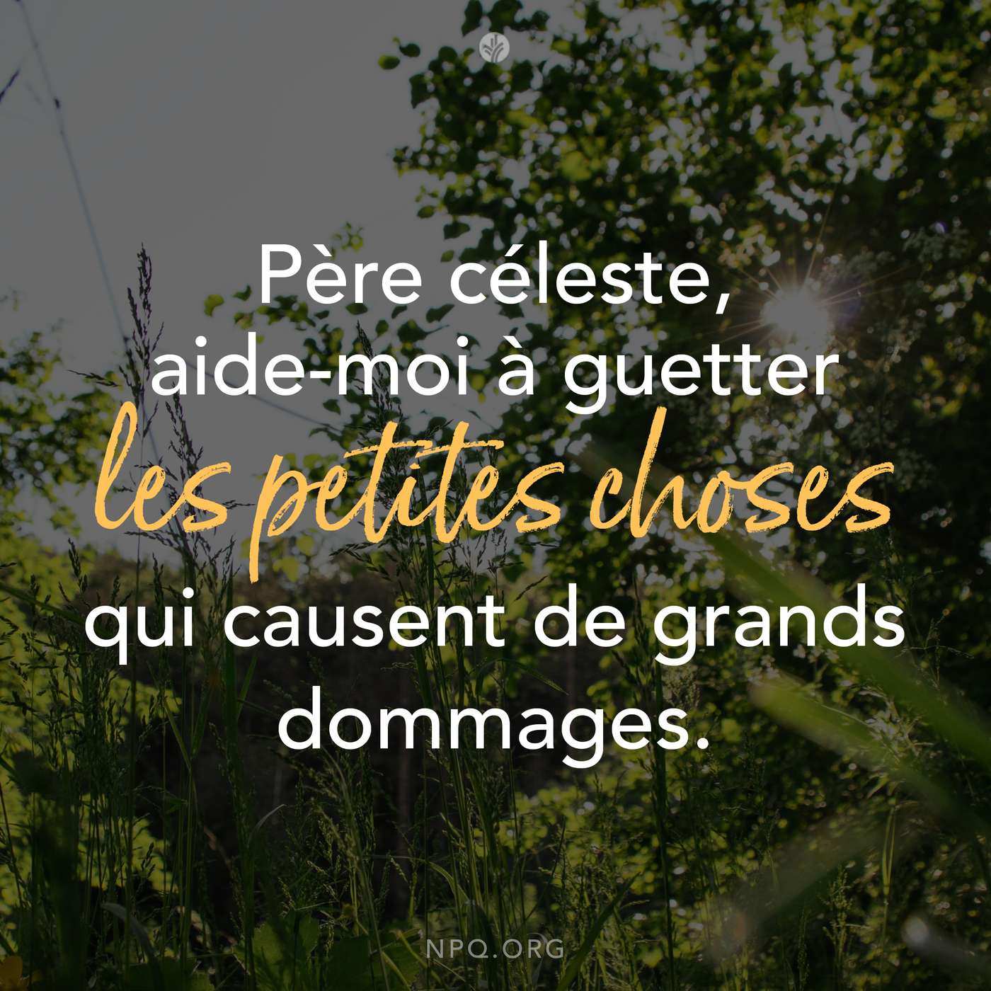 Notre Pain Quotidien podcast