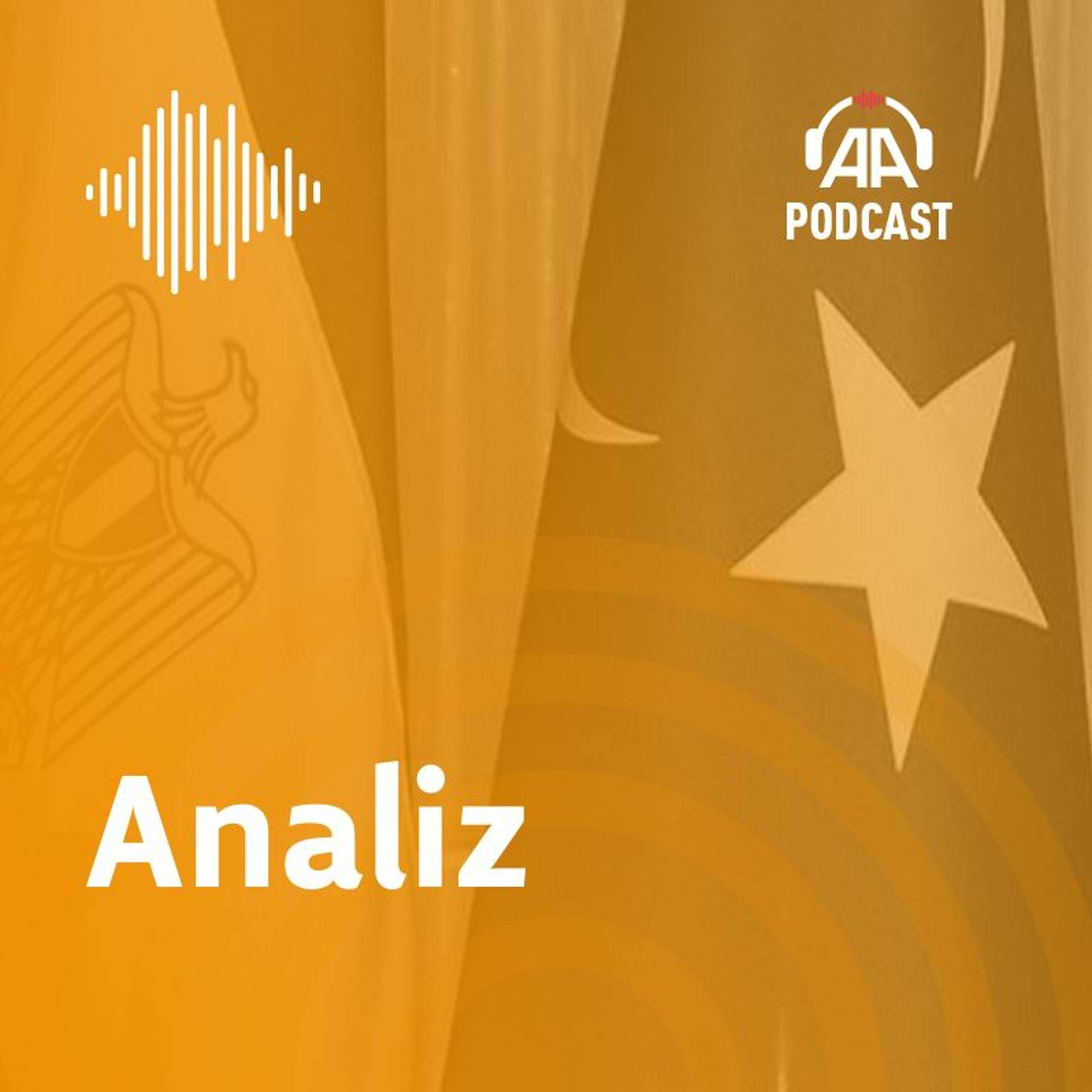 Analiz ve görüşler