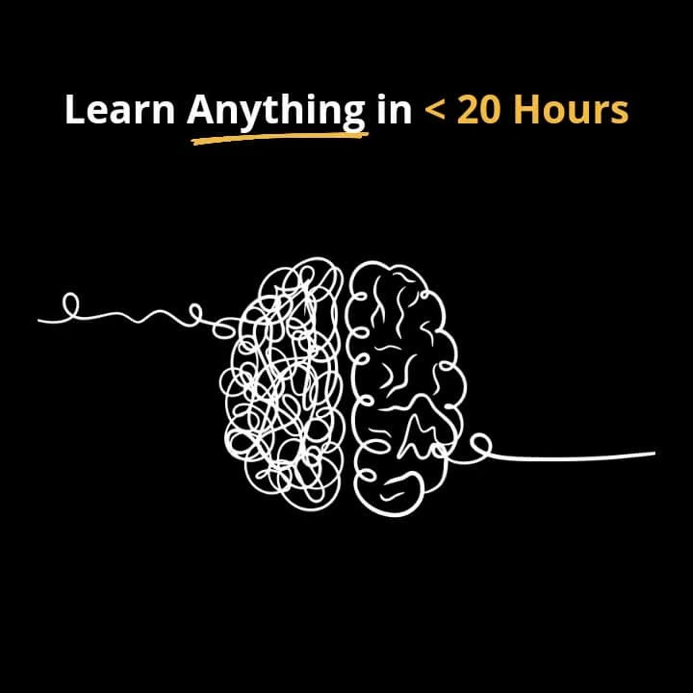 How To Learn Anything Fast