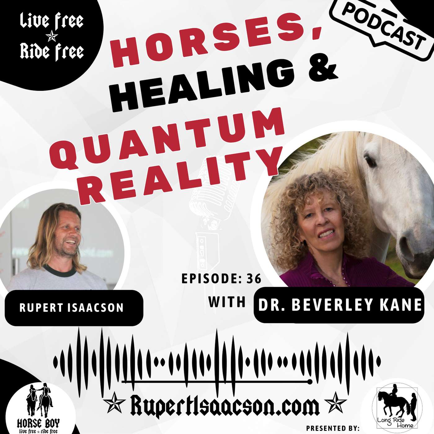 From Hippie to Stanford: Medicine, Horses & Quantum Consciousness with Dr. Beverley Kane | Ep 36