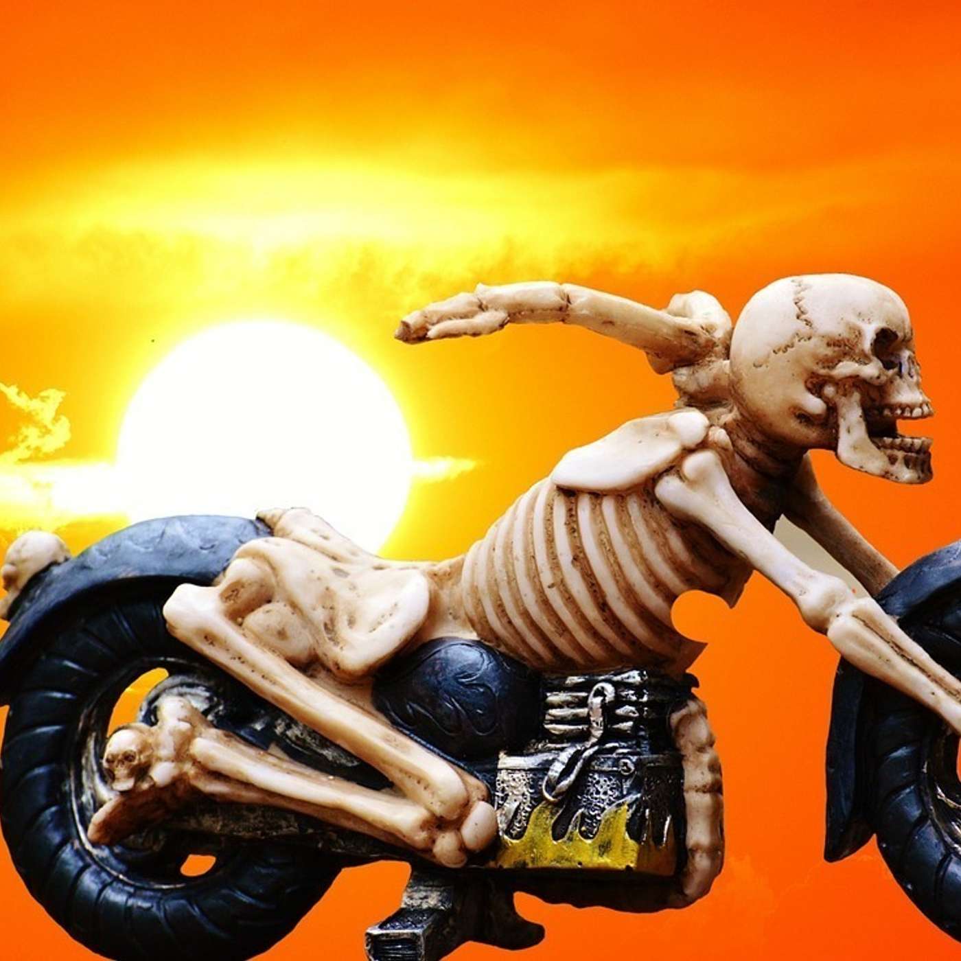 Behind the Bones: An Exclusive Interview with Sally Skeleton ~ Creepy Crawly Chats