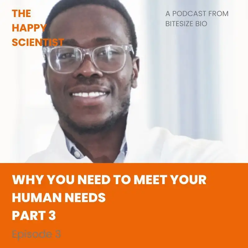 Why You Need to Meet Your Human Needs 3