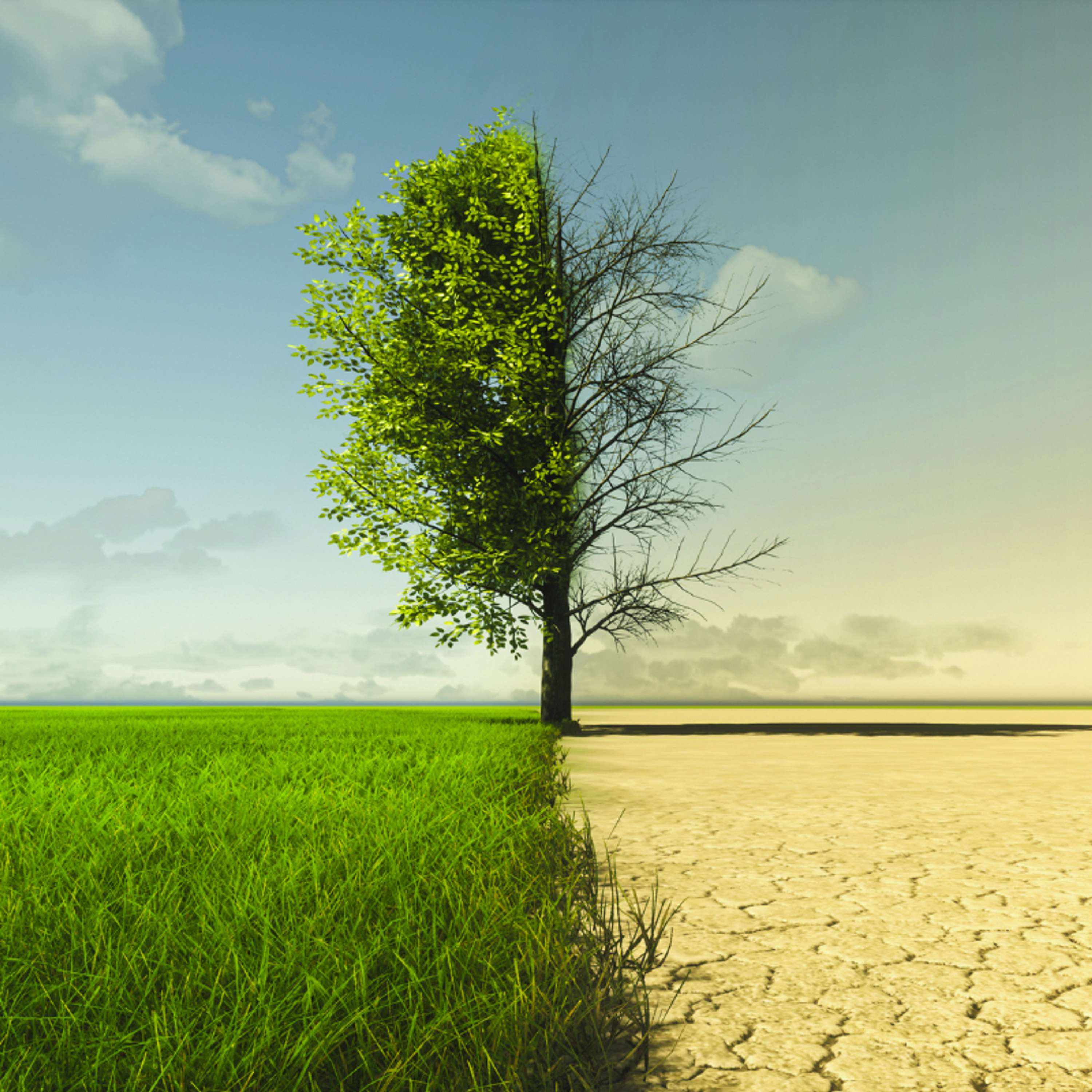 Paul Erlich Predicts Climate Doomsday