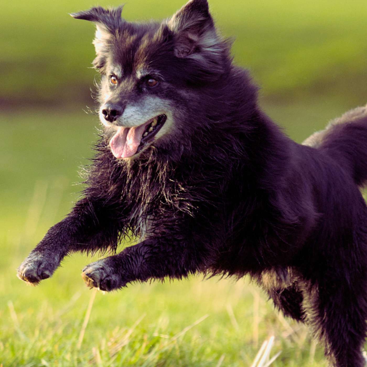 Heart to Heart Living in the PURPLE