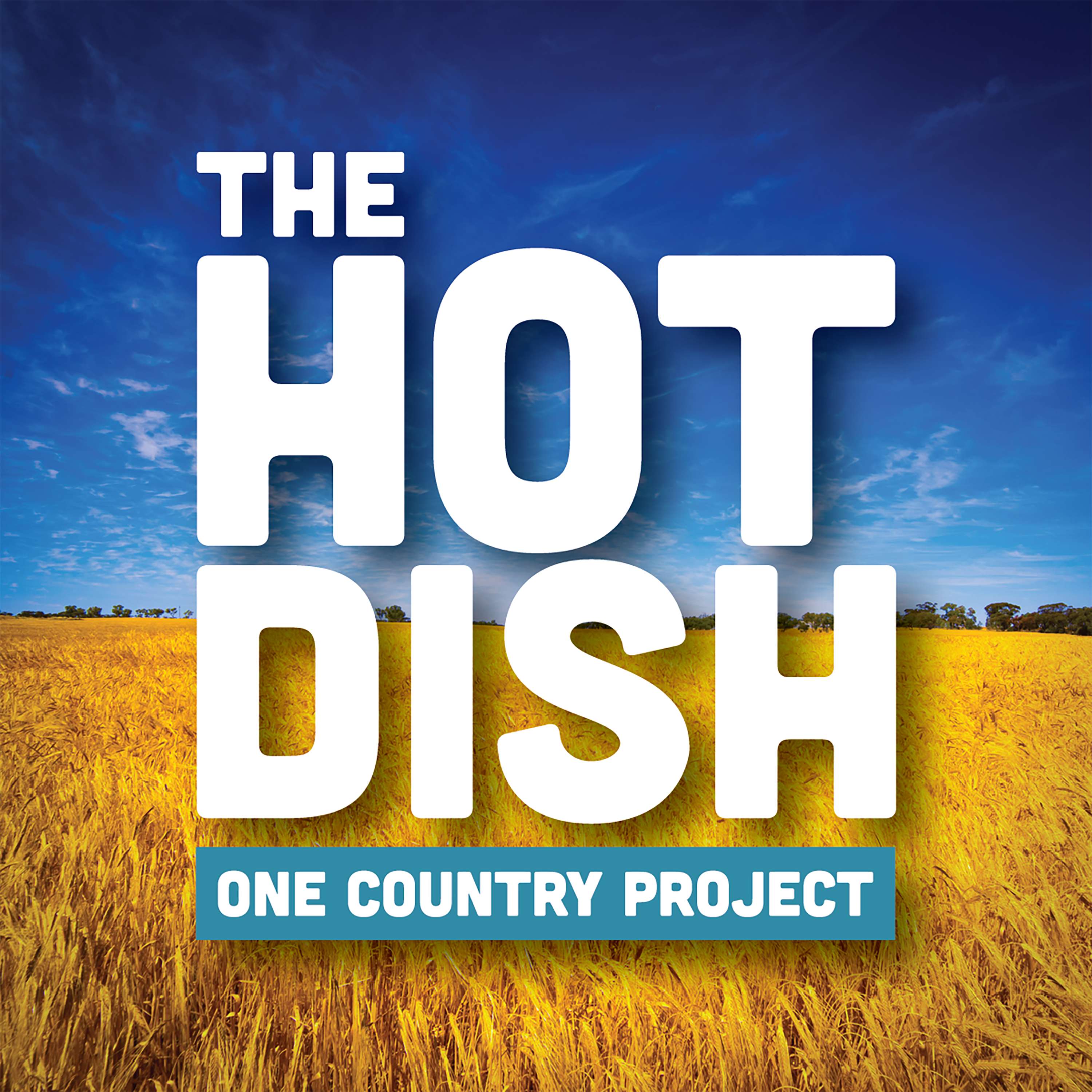 One Country Project's Hot Dish