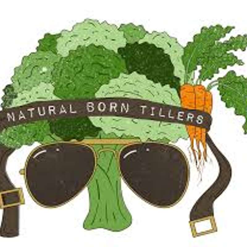 Corey, Natural Born Tillers