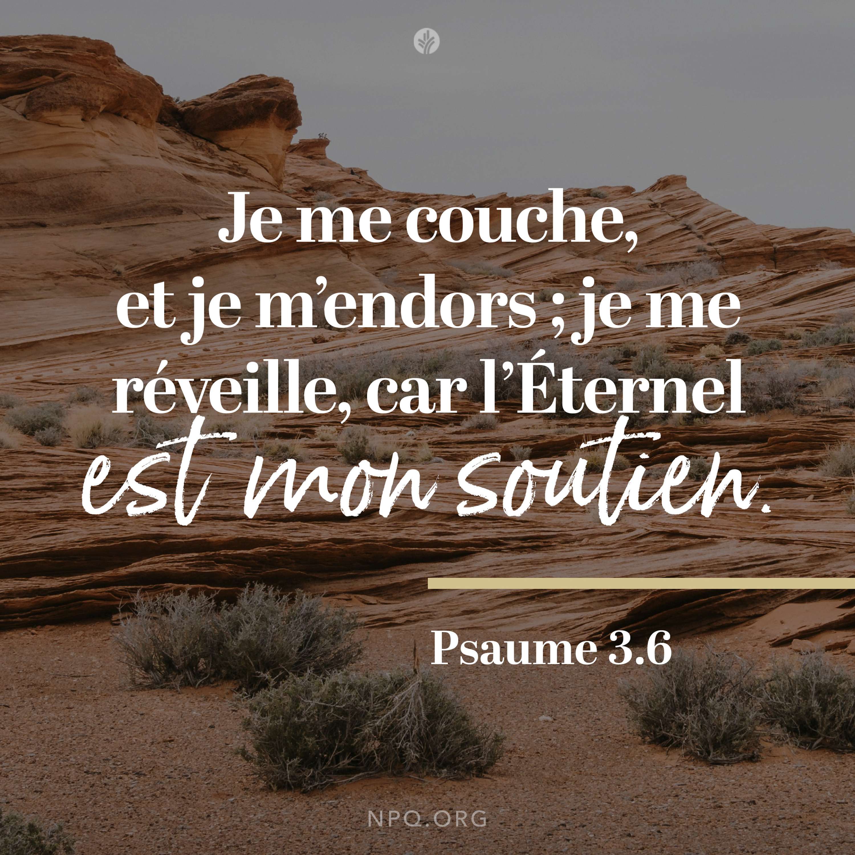 Insomniaque ?