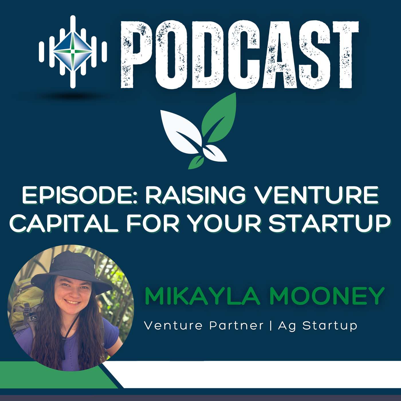Raising Venture Capital for your Startup