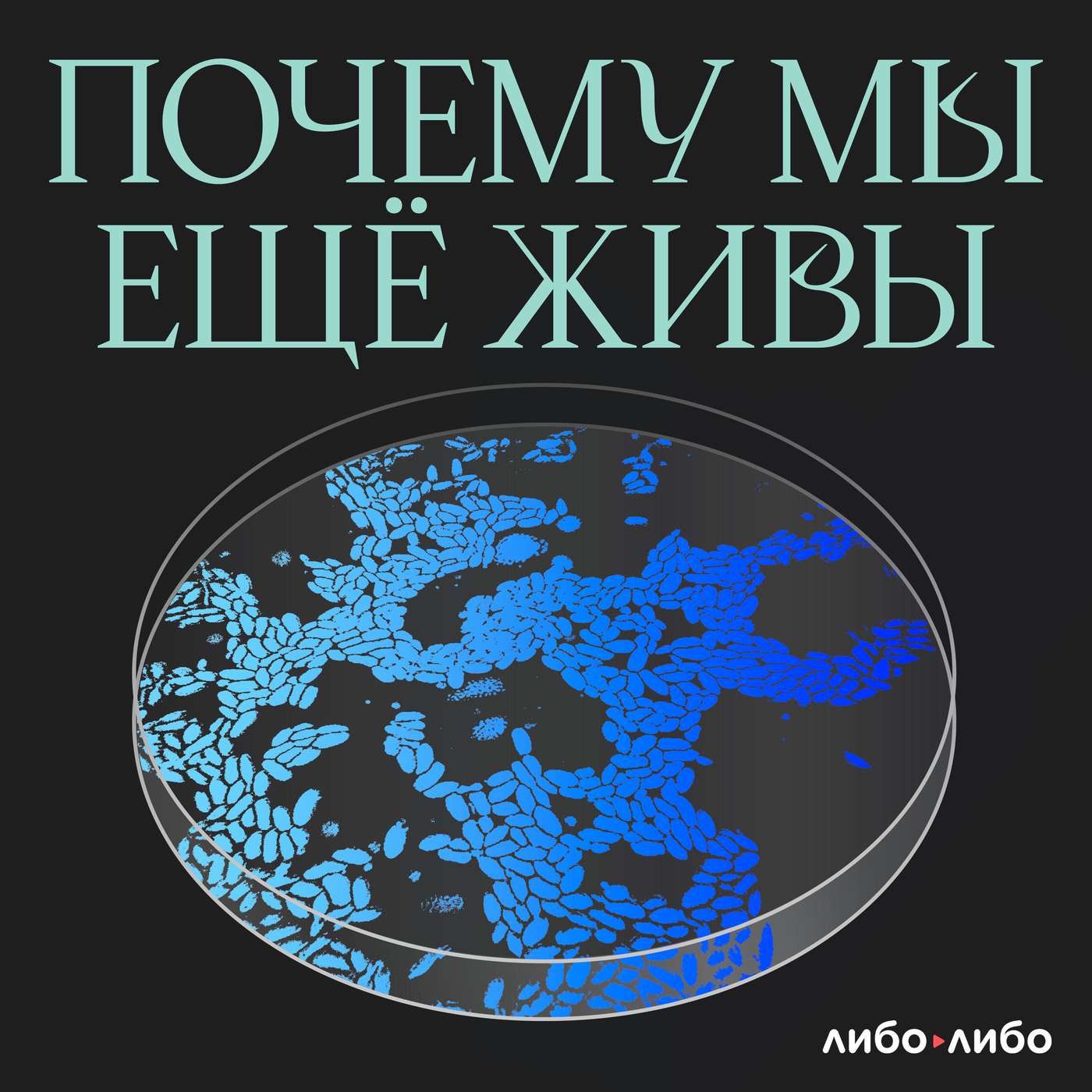 Ради всего человечества: как мы справились с чумой