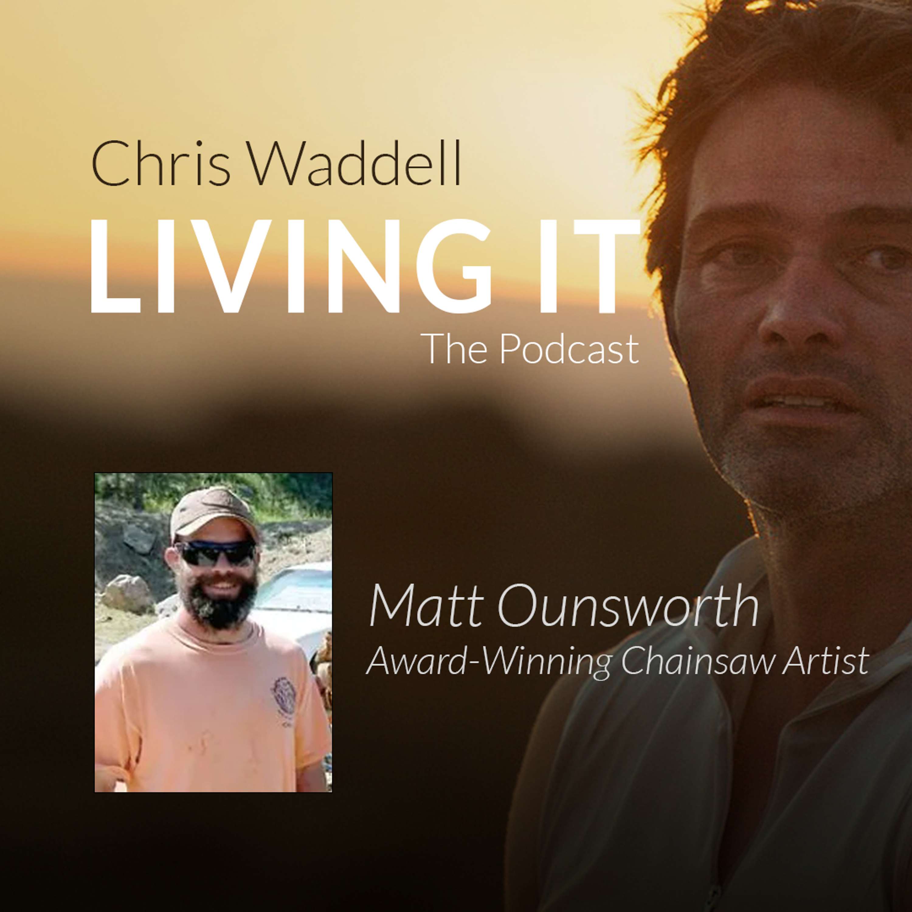 Matt Ounsworth - Award-Winning Chainsaw Artist!