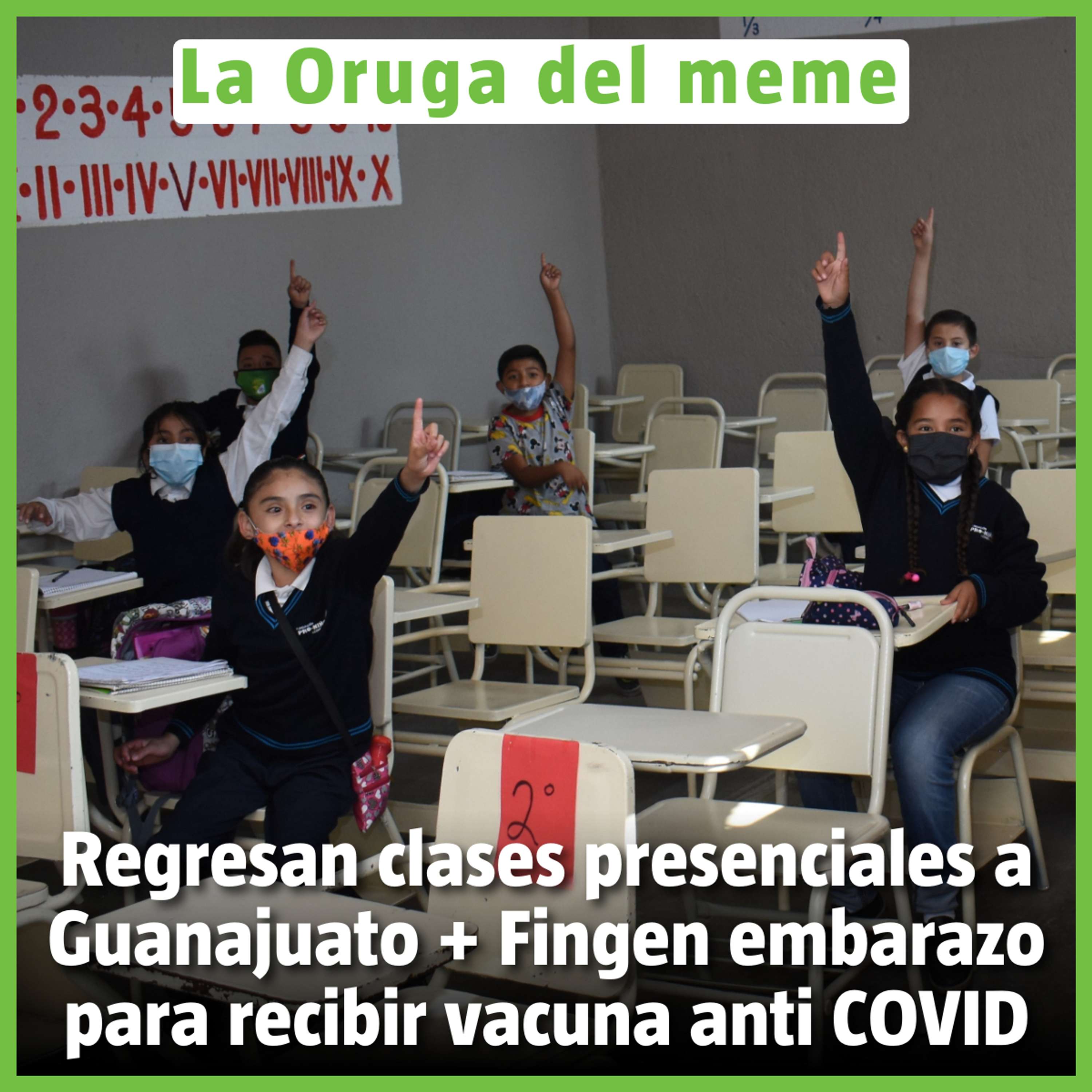 La Oruga del Meme