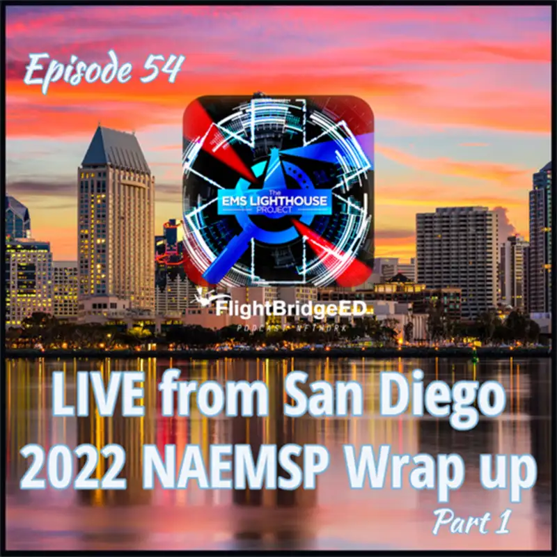 Episode 54 – NAEMSP Research Part I